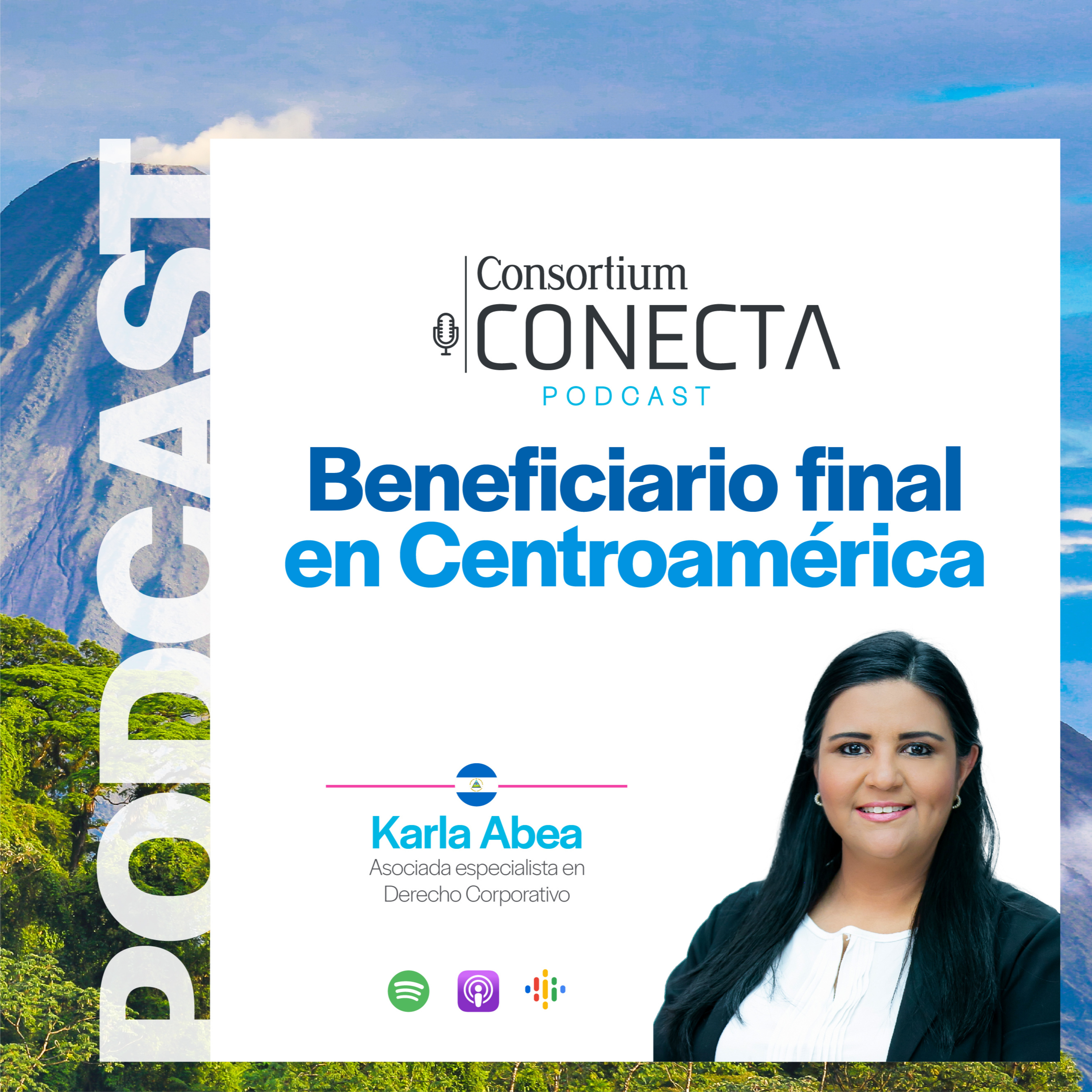 Portada de Consortium Legal