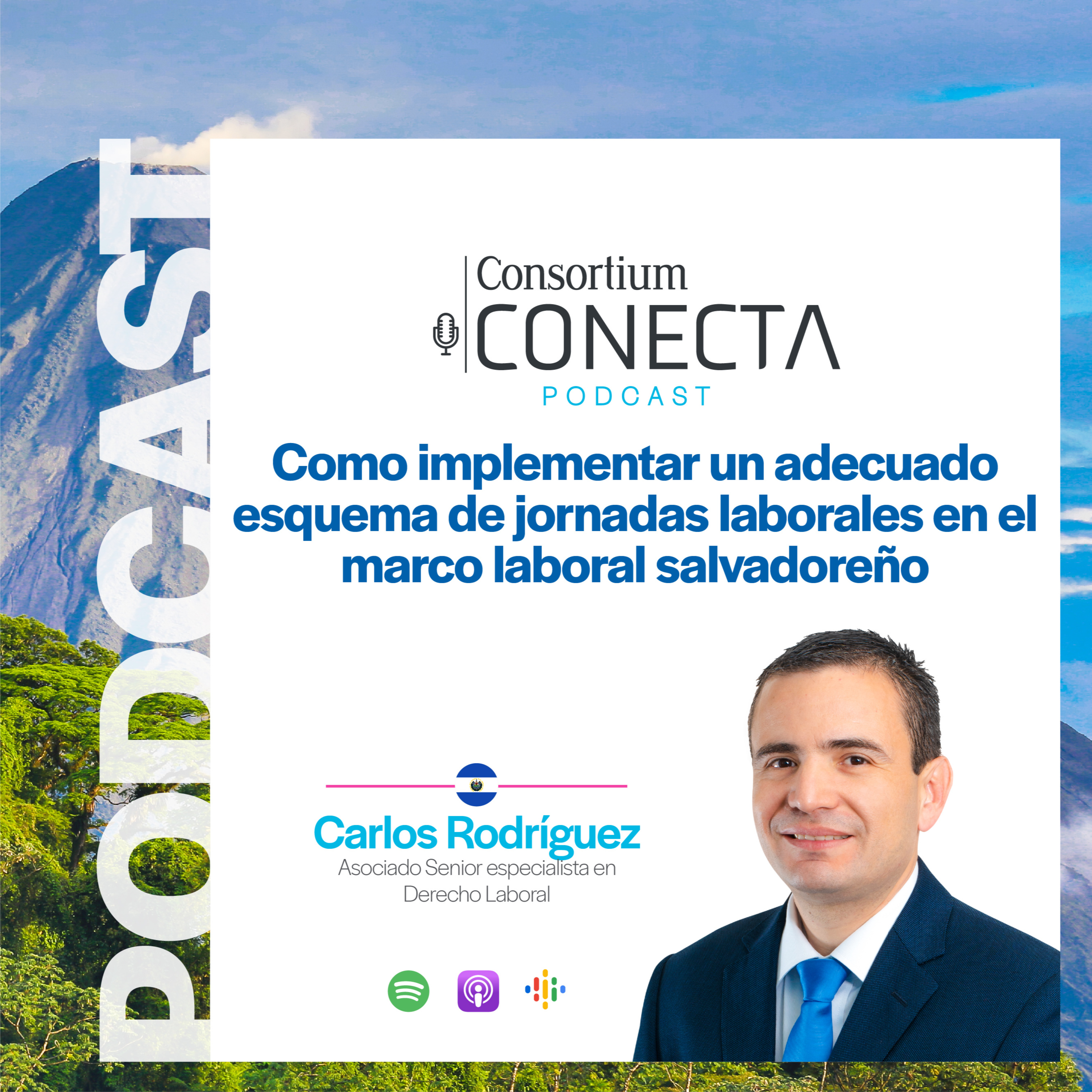 Portada de Consortium Legal