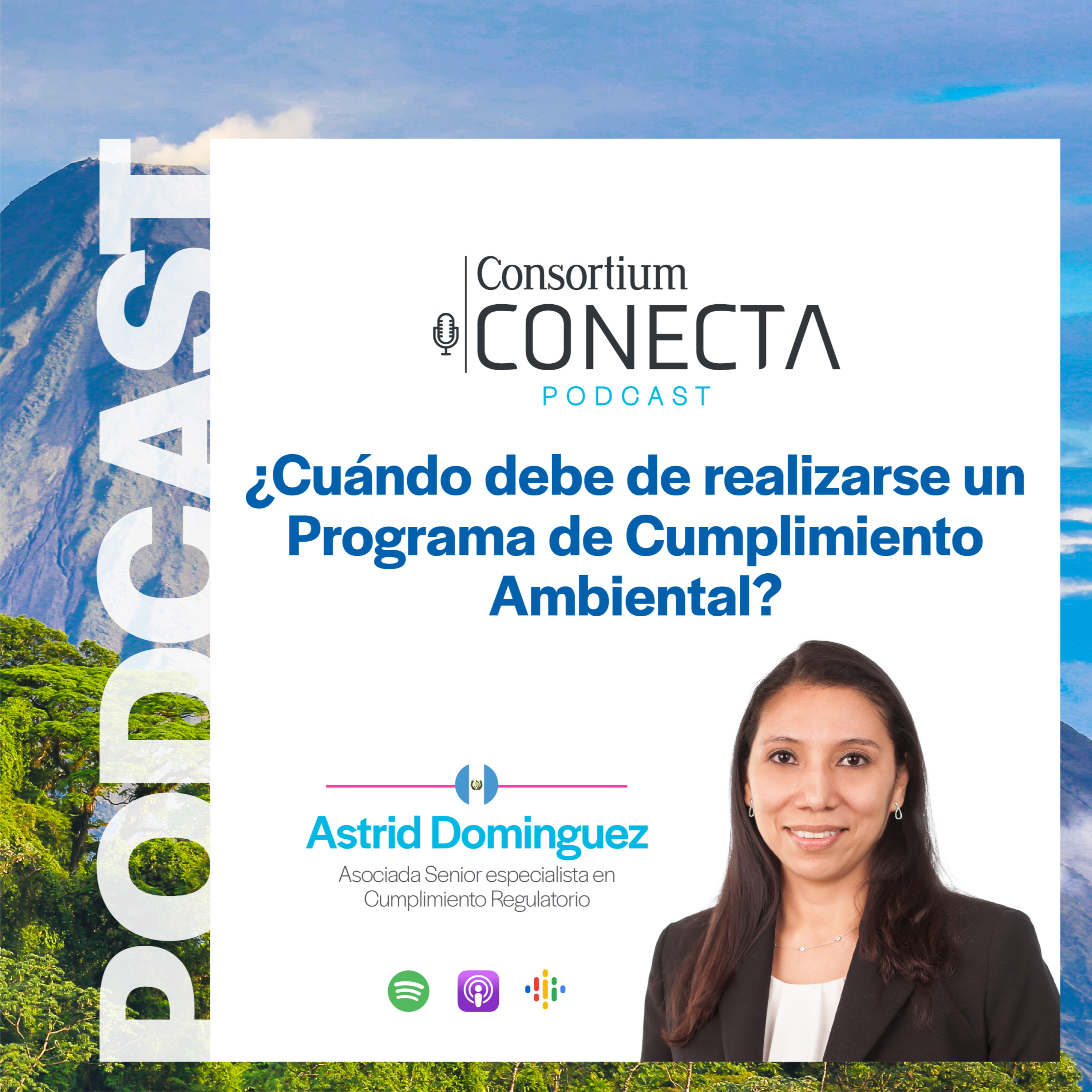 Portada de Consortium Legal