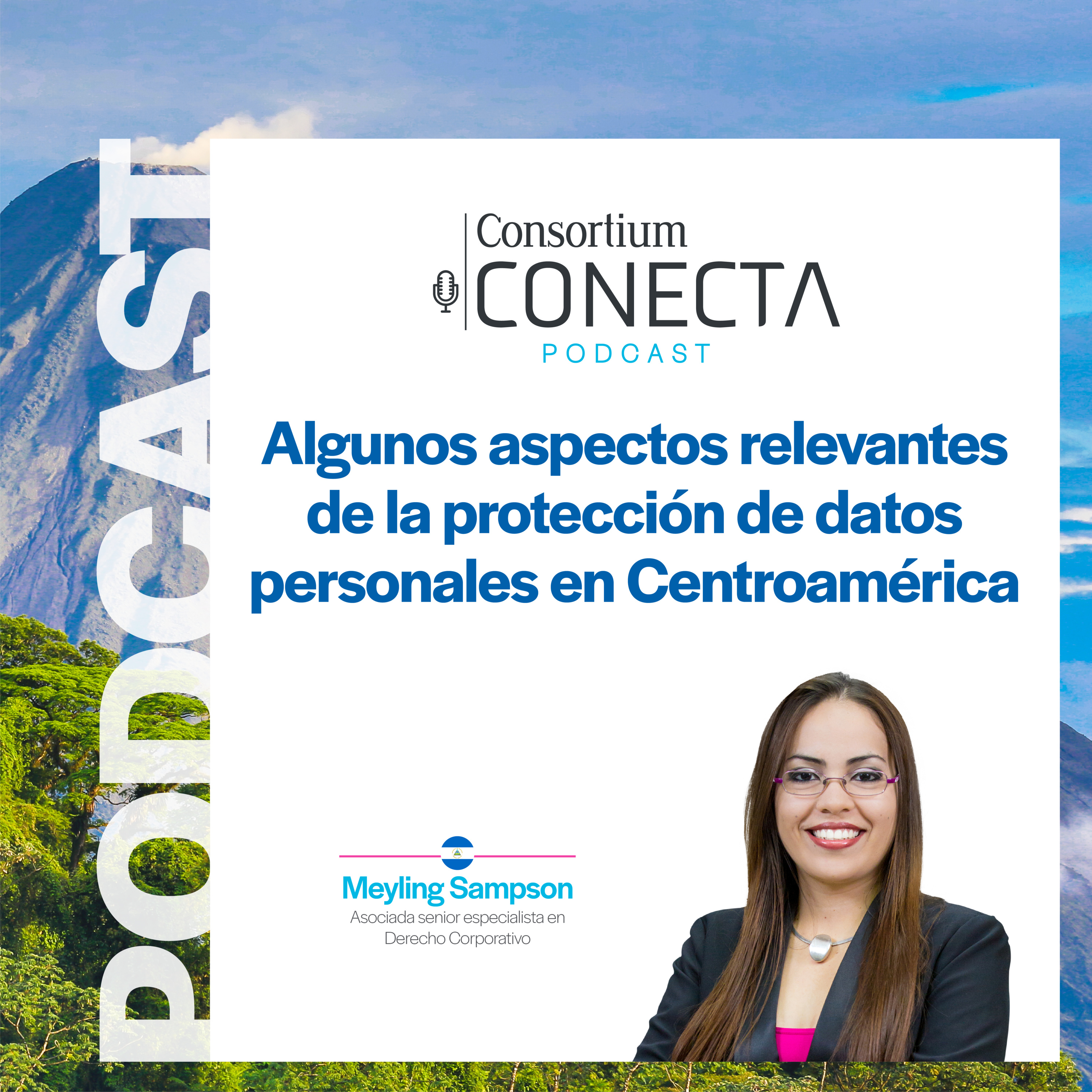 Portada de Consortium Legal