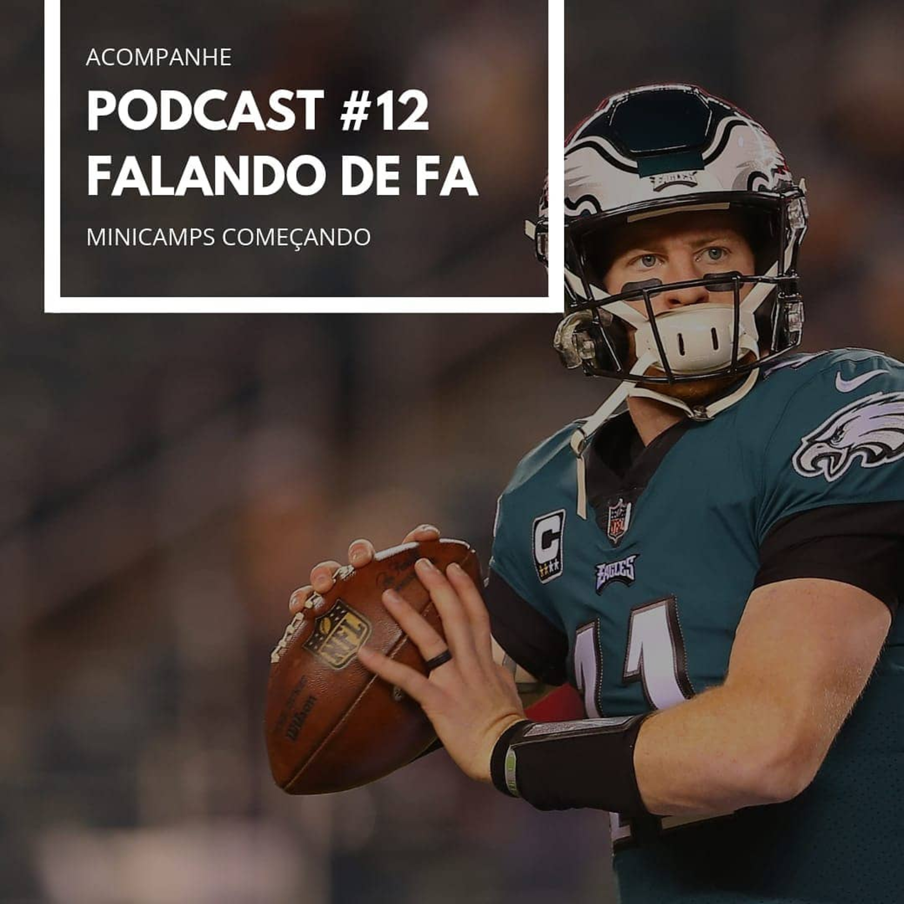 PODCAST FALANDO DE FA