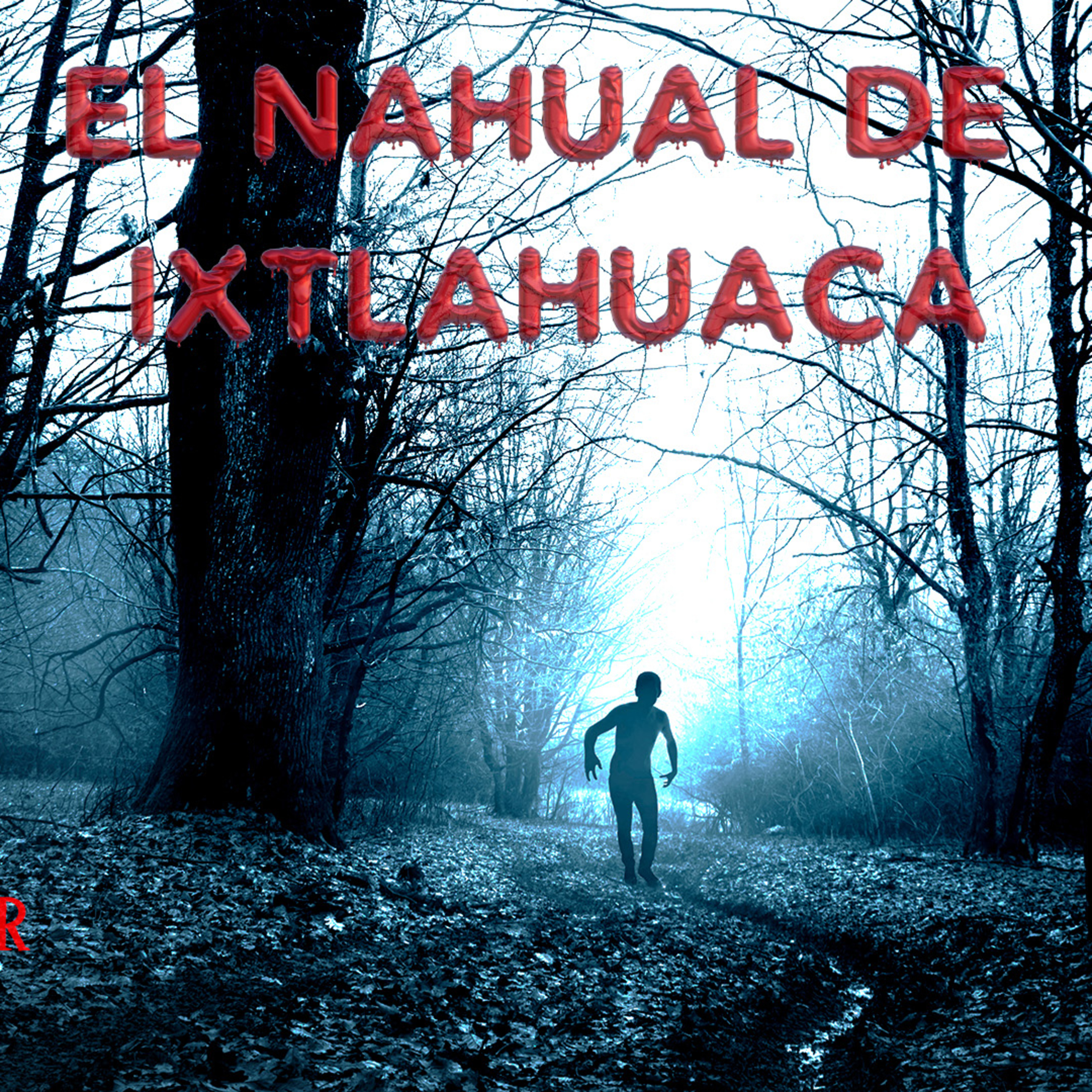 MAS TERROR MX