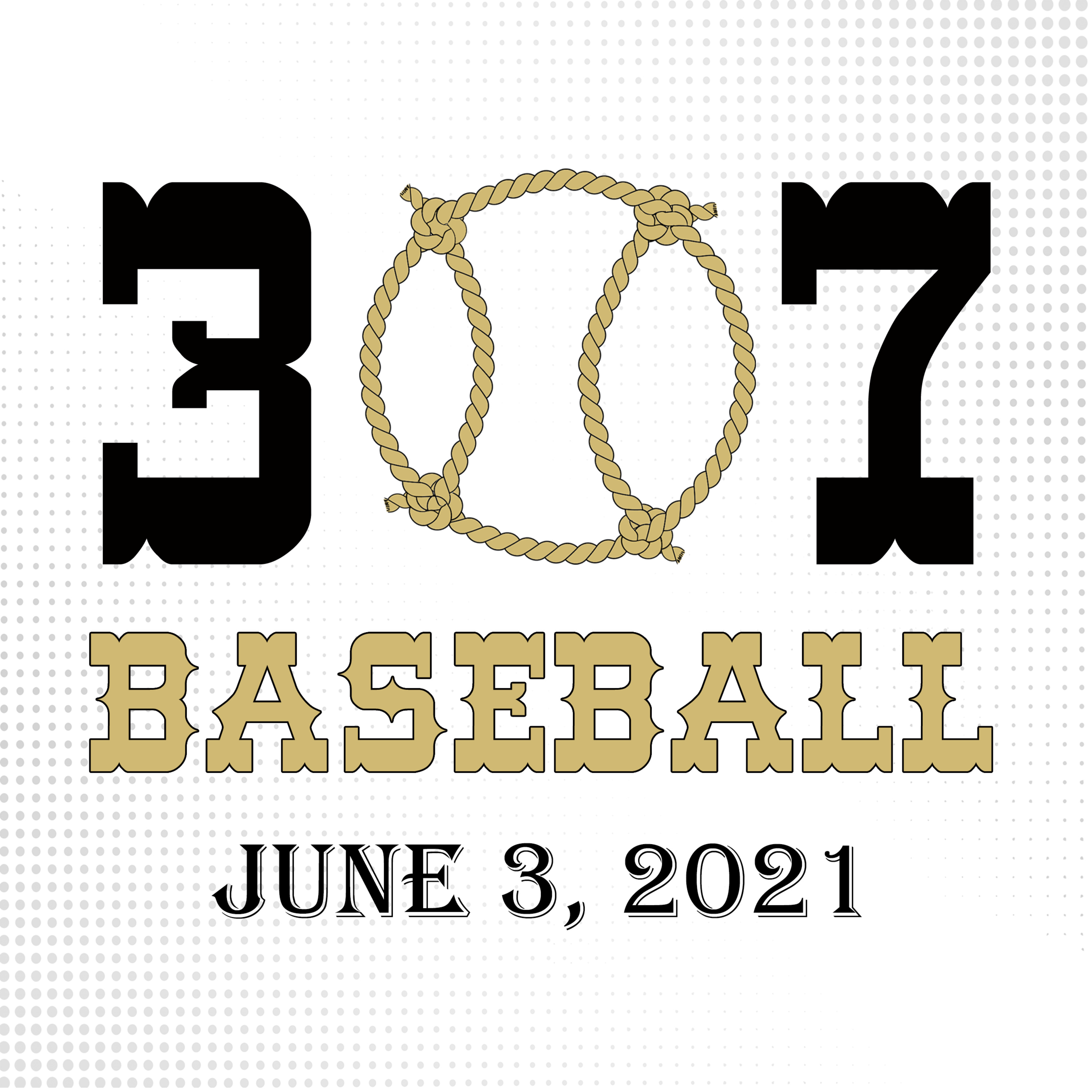 307 Baseball