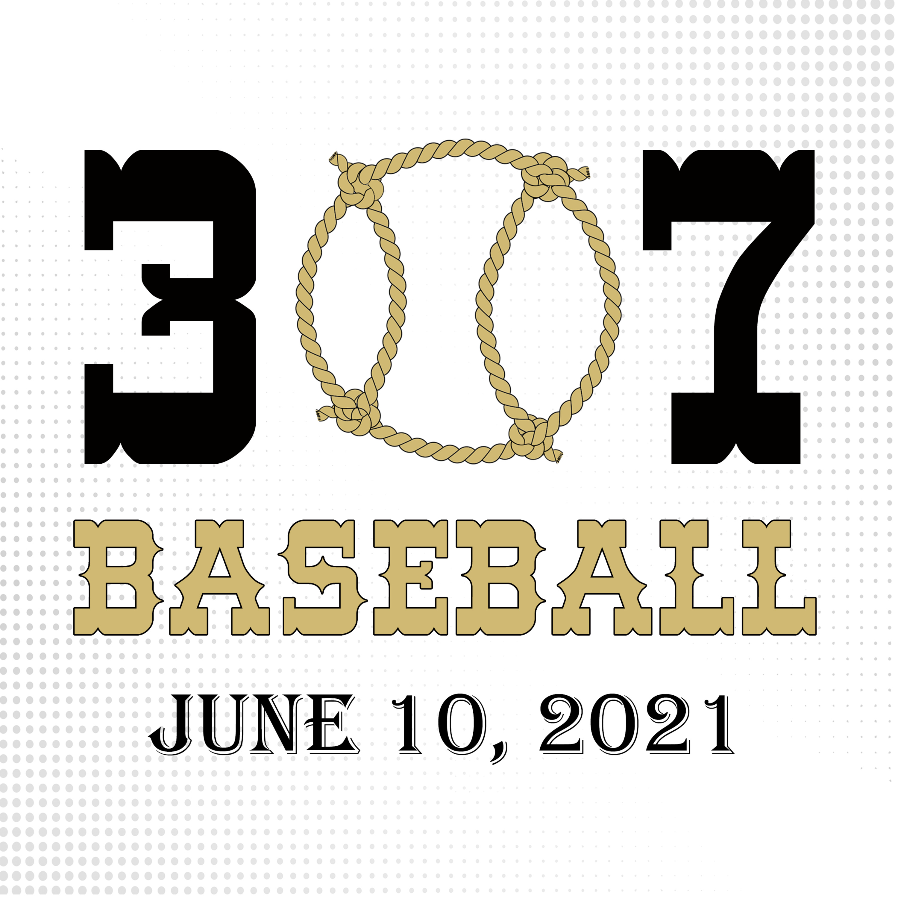 307 Baseball