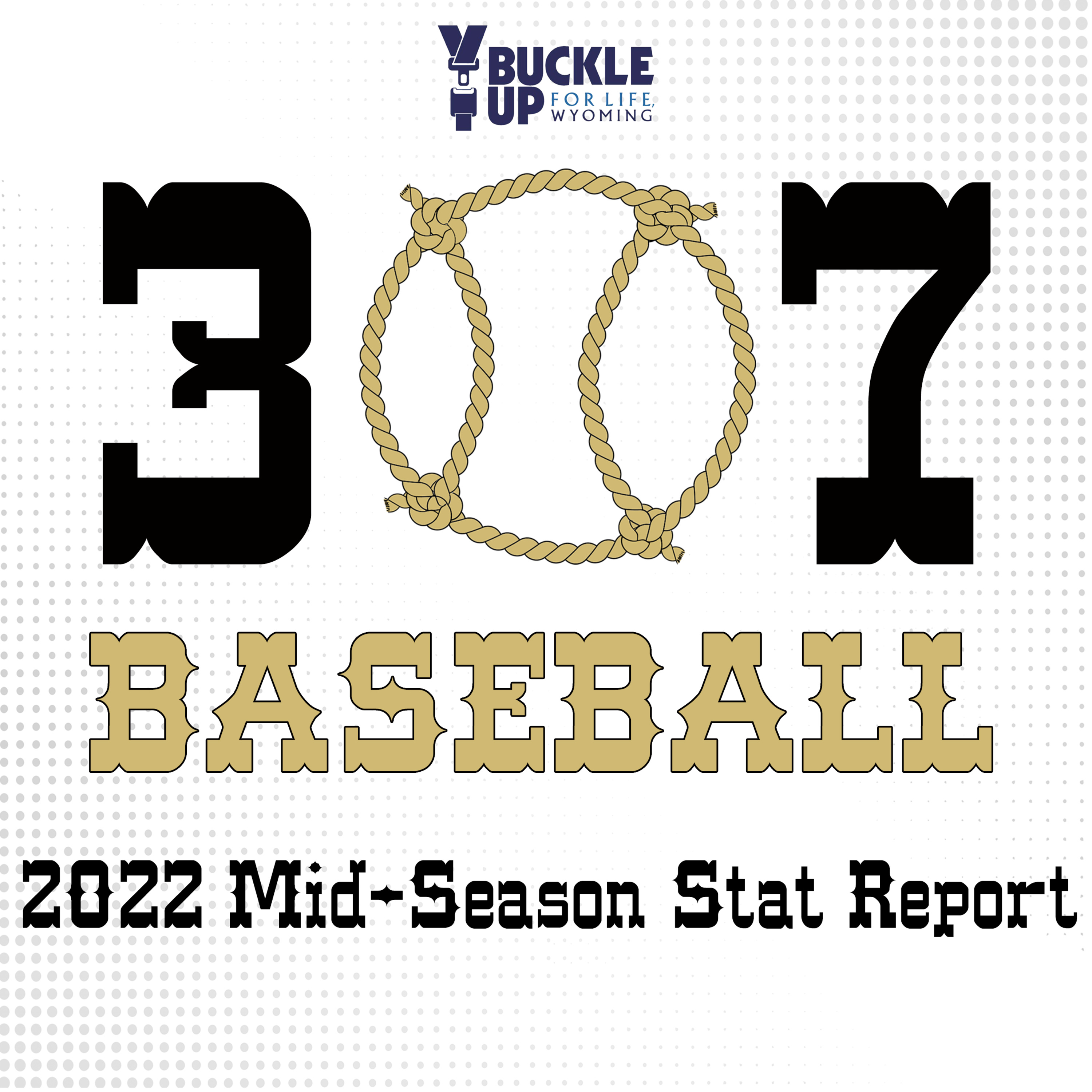 307 Baseball