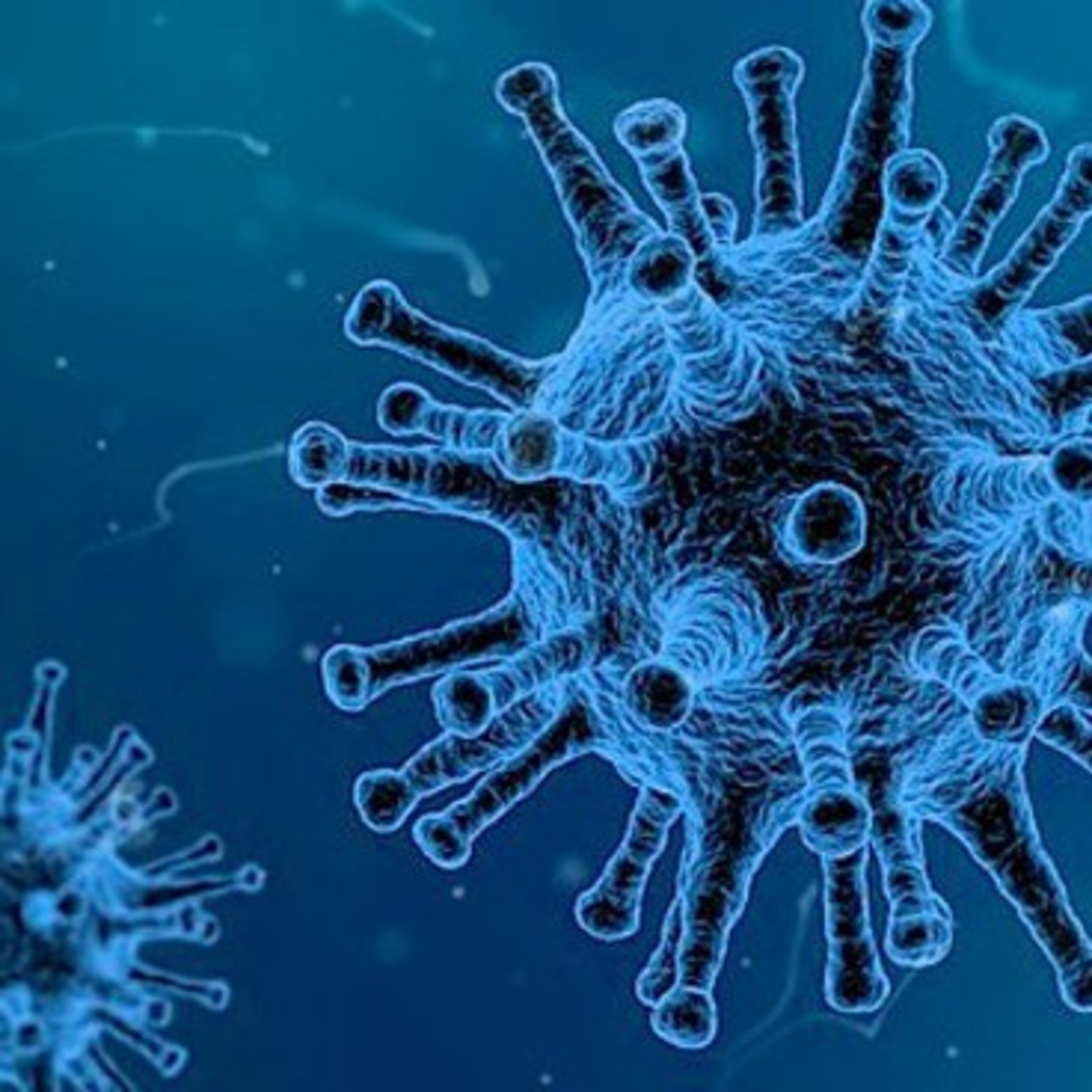 ¿LOS VIRUS ESTÁN VIVOS?🤔🔬🧬
