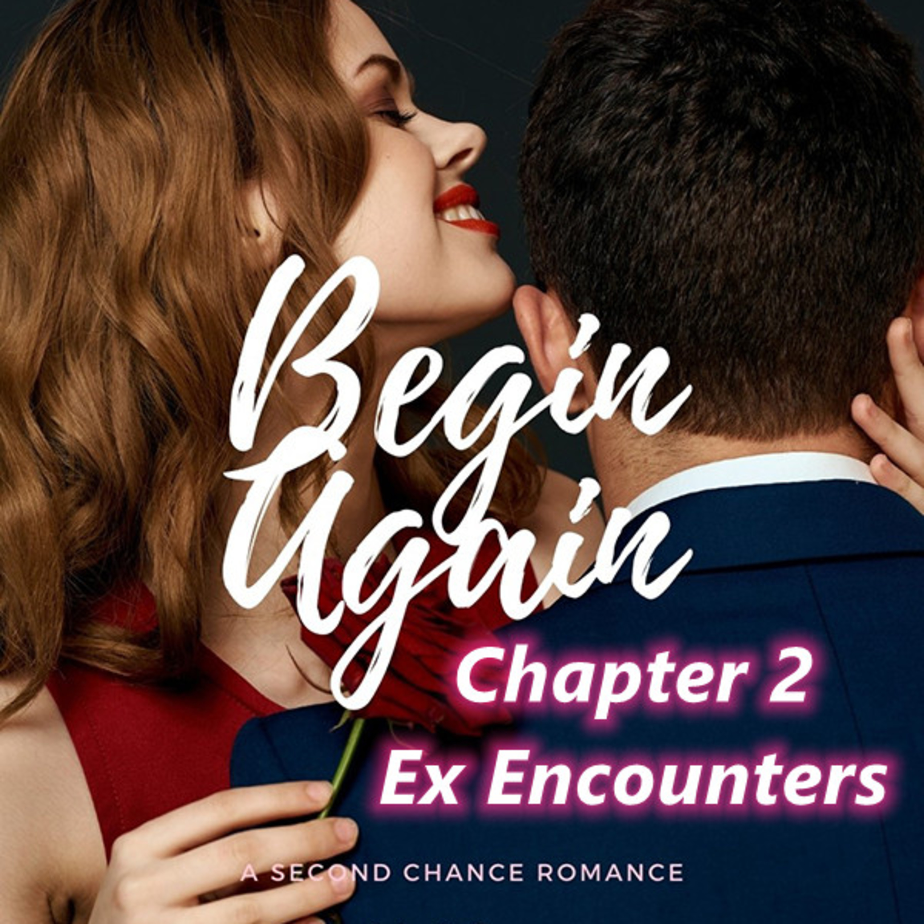 Flipread Audiobook
