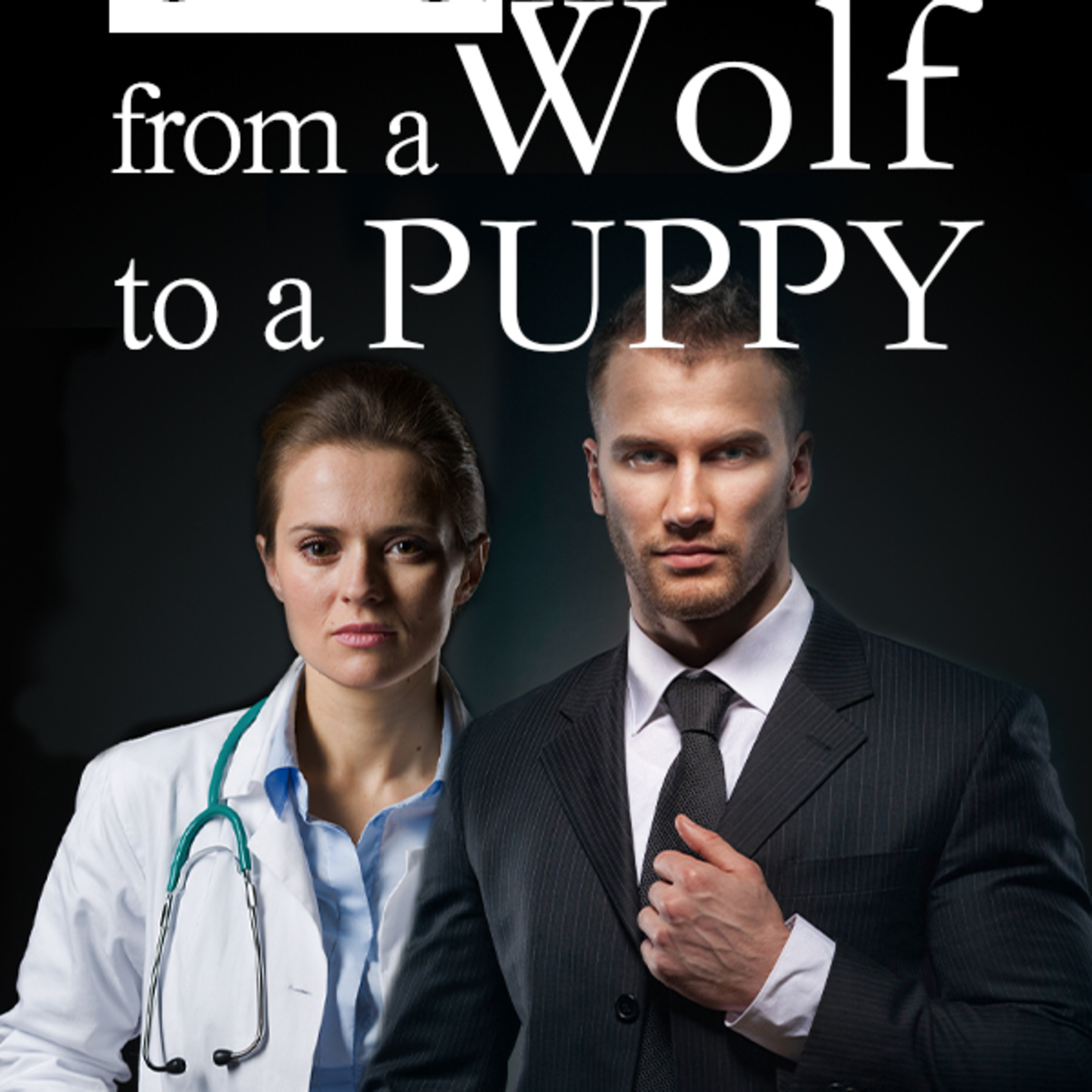 Flipread Audiobook