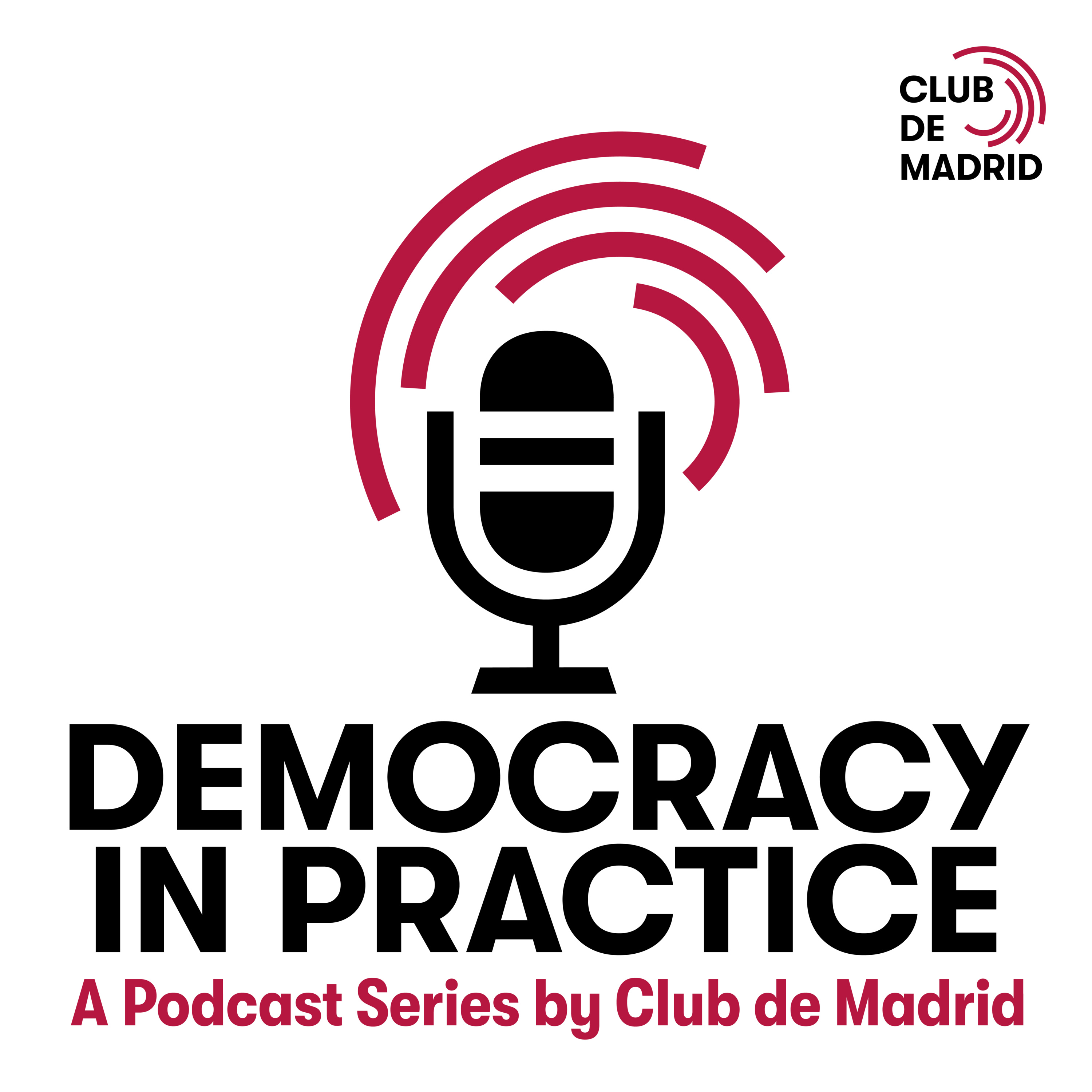Democracy in Practice