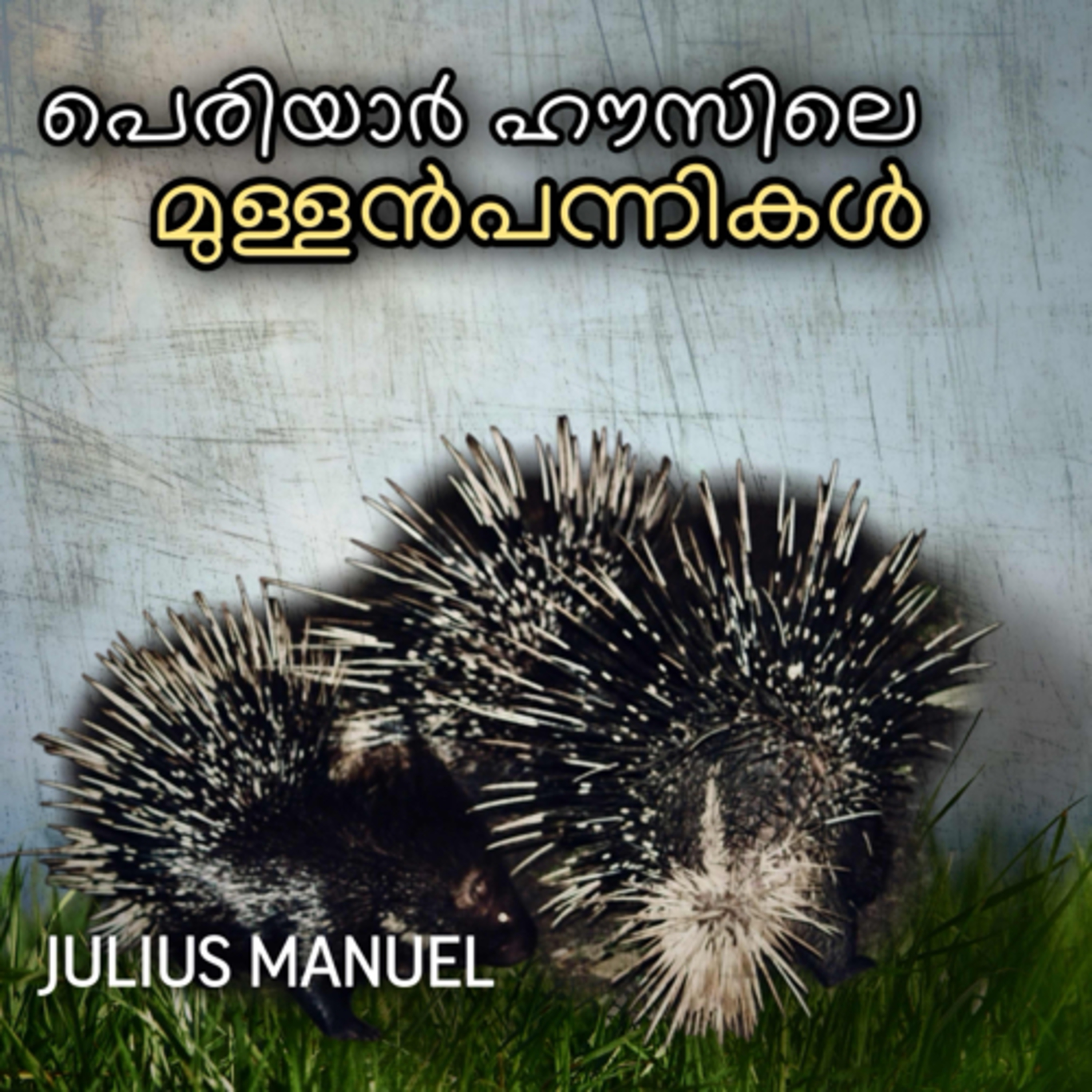 Julius Manuel