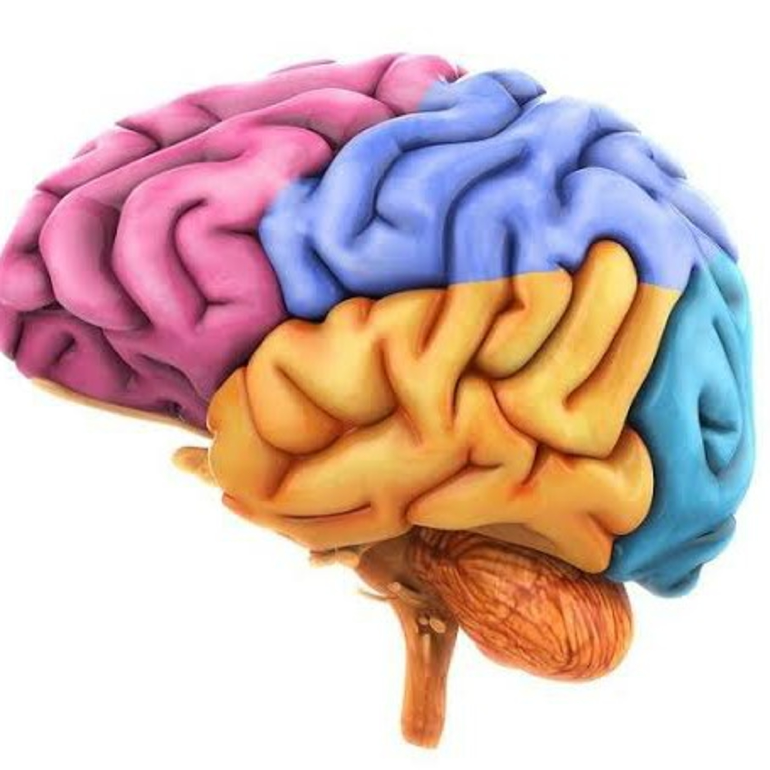 Cerebro  episode artwork