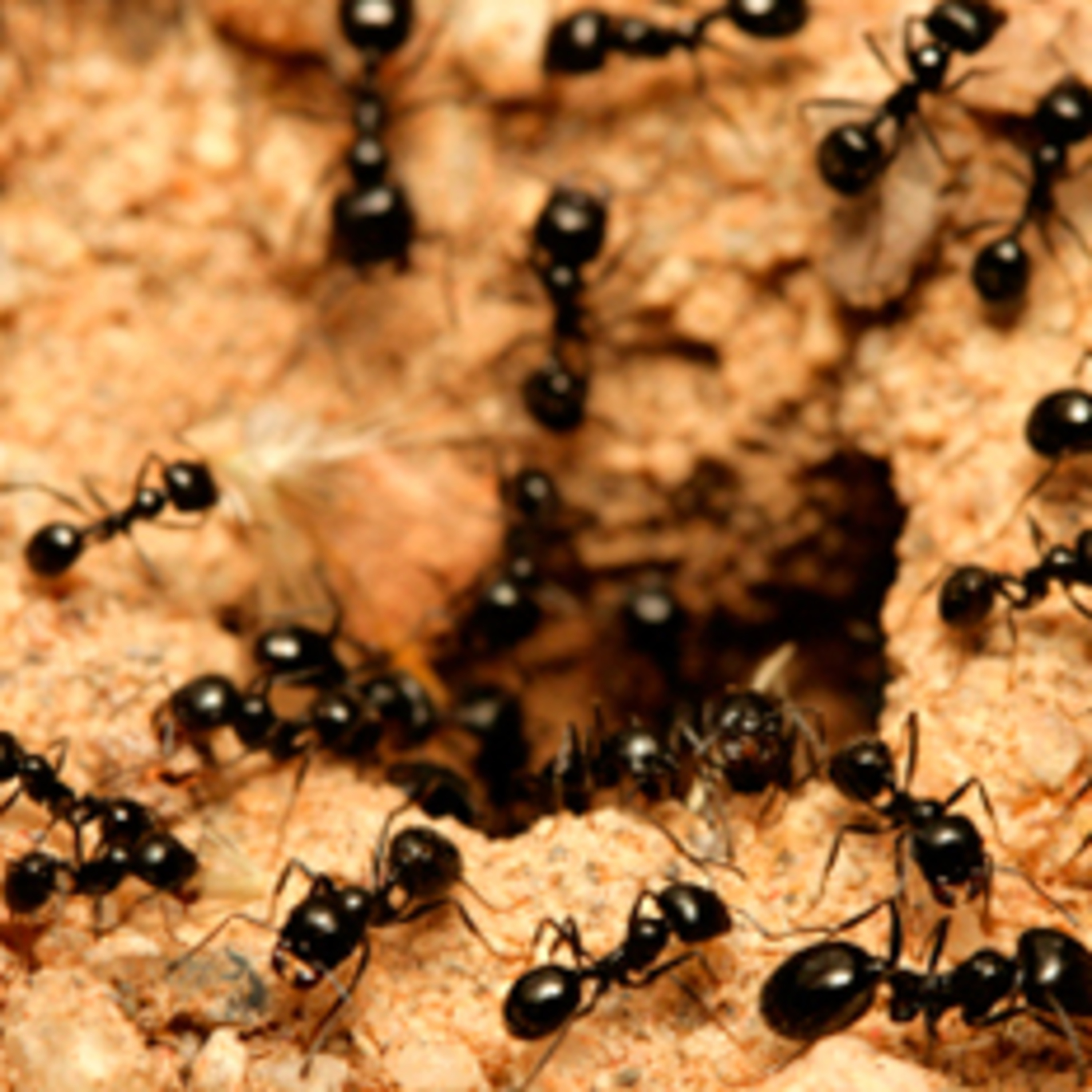 Ben Arkell | Passive Automation & Affiliate Marketing