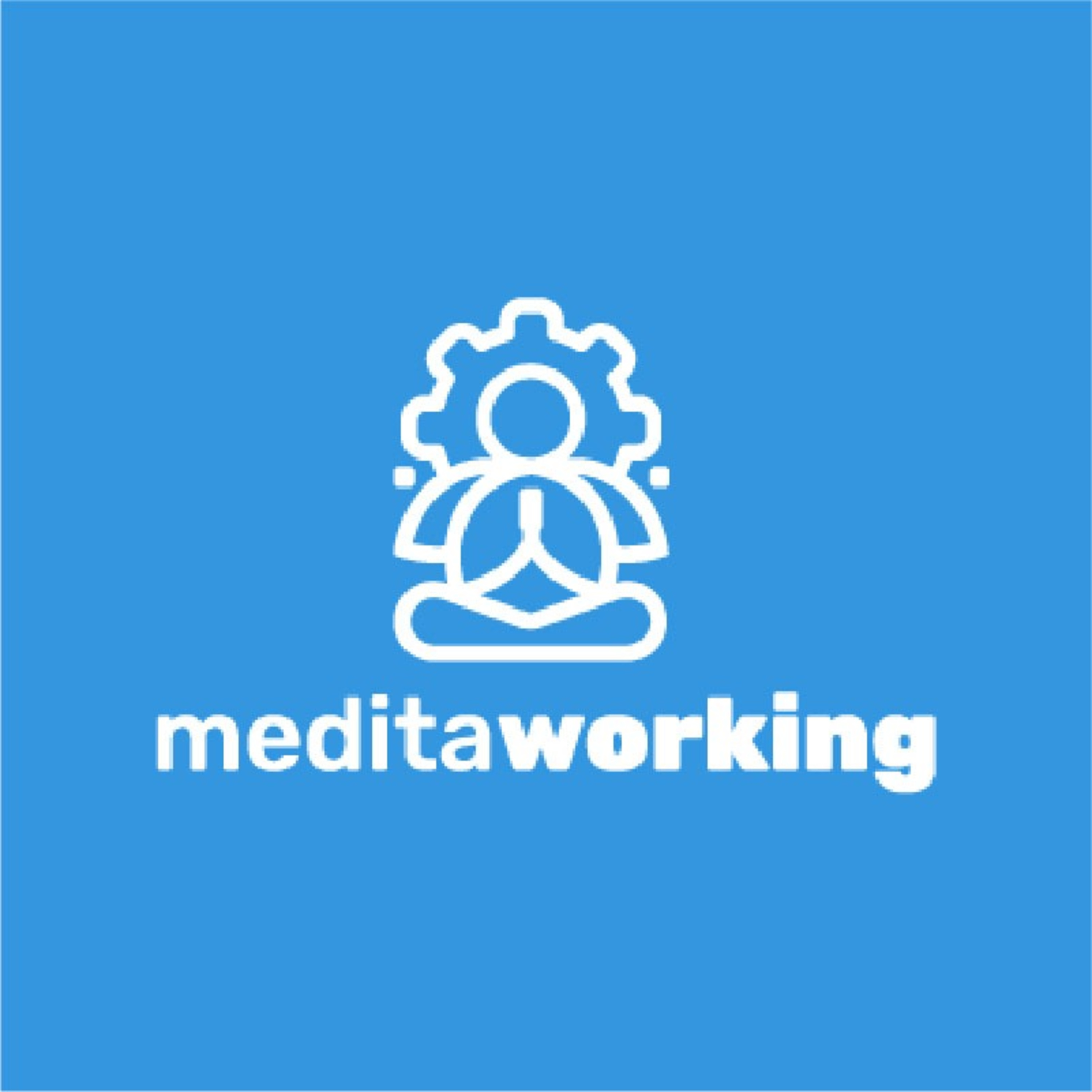 Medita Casting
