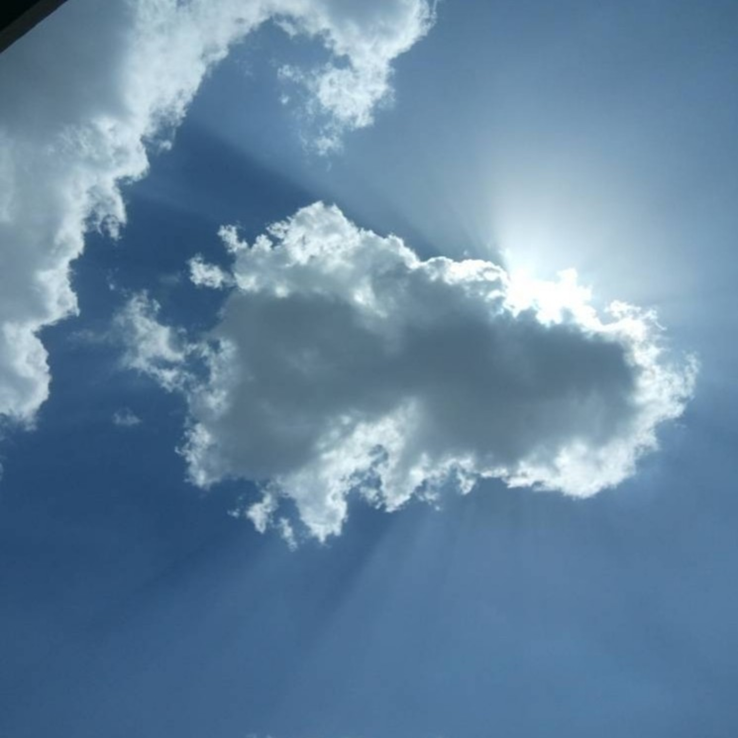The Sunny Day