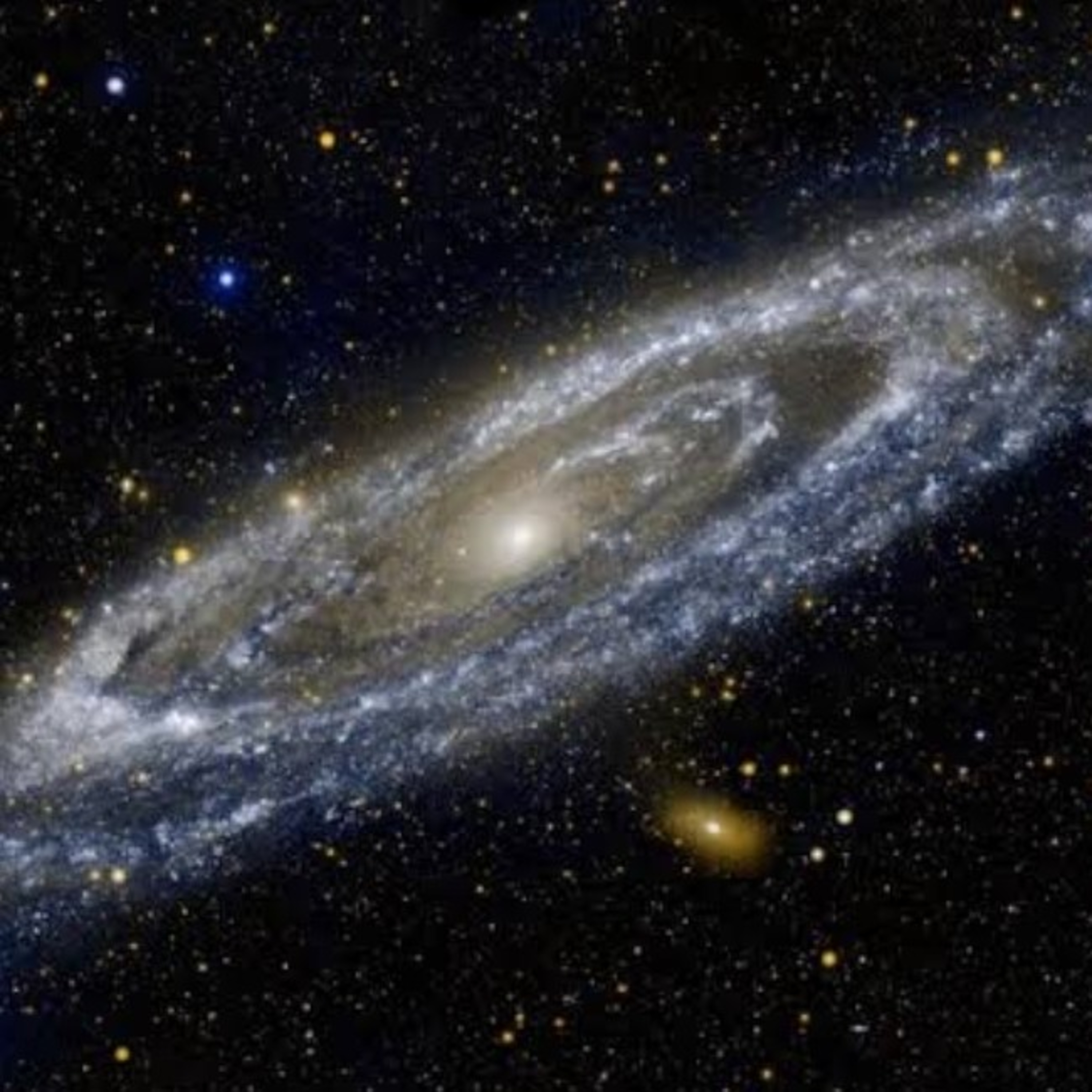 The Light Year