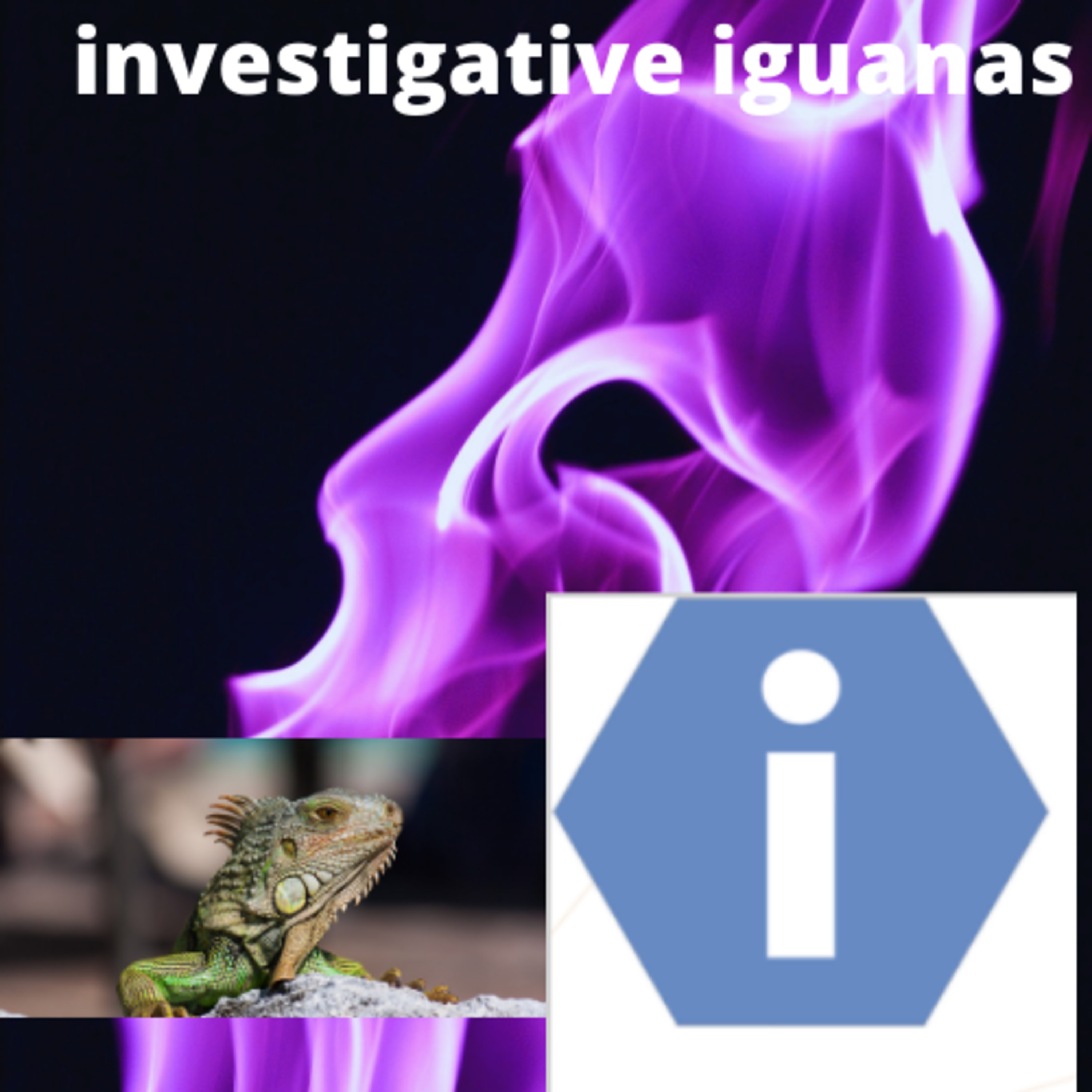 Chase Tigers PAWDcast