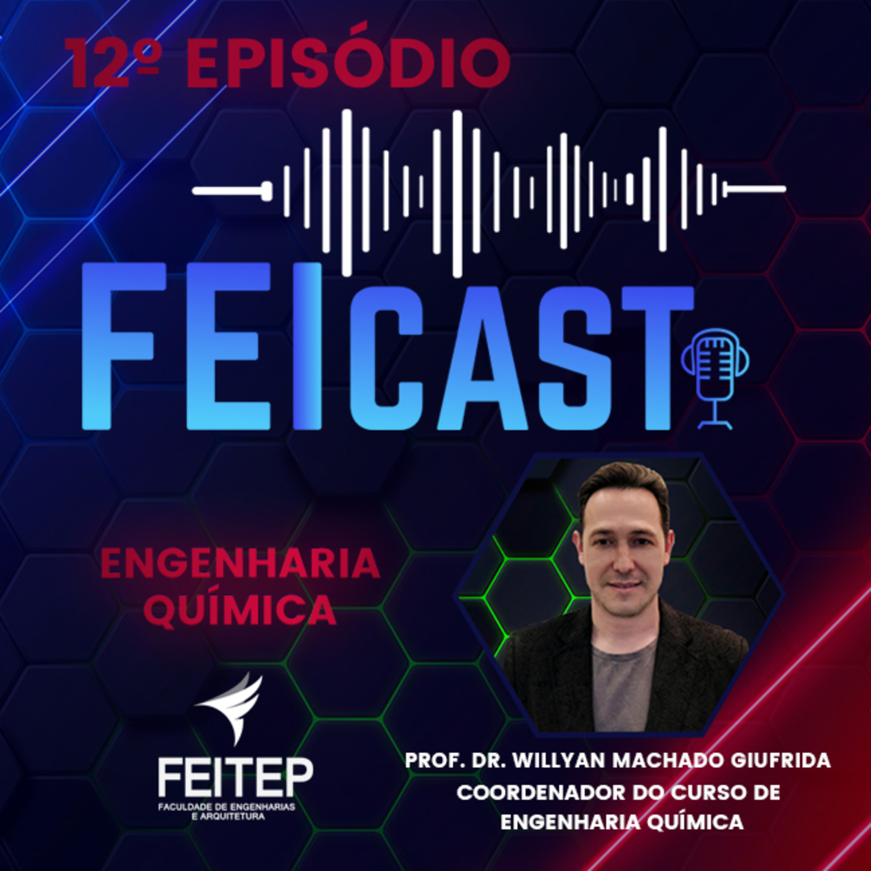 FEICAST