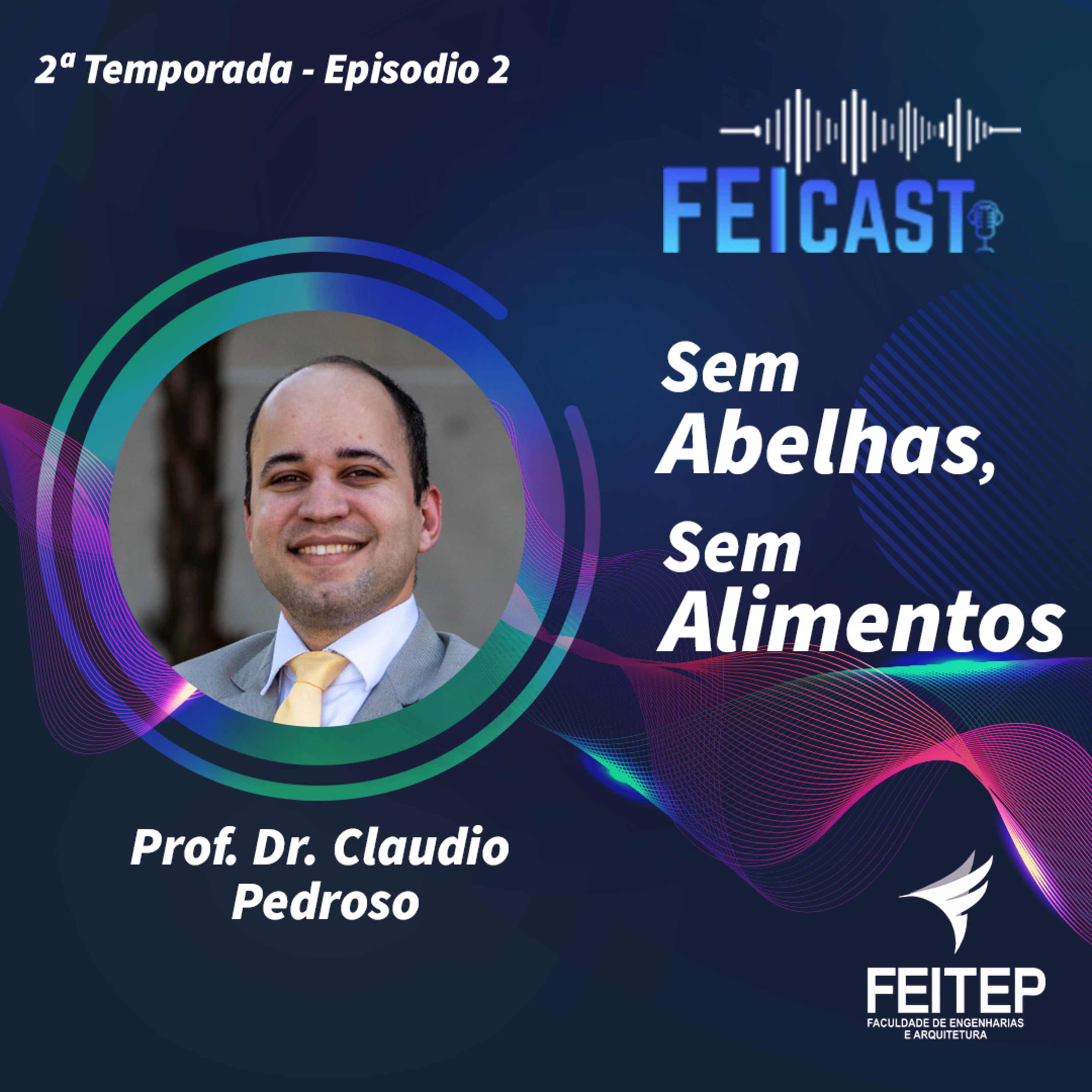 FEICAST