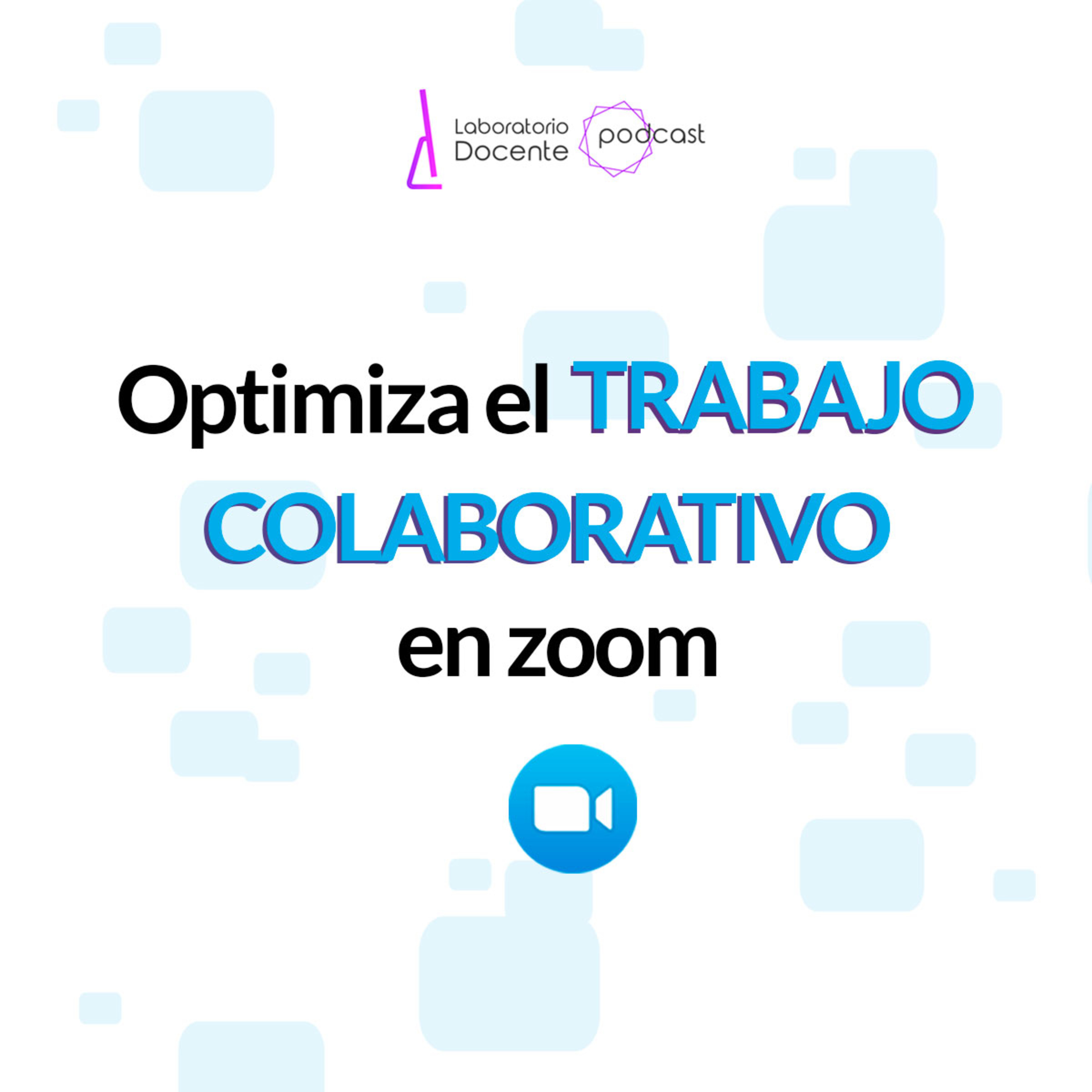 Laboratorio Docente