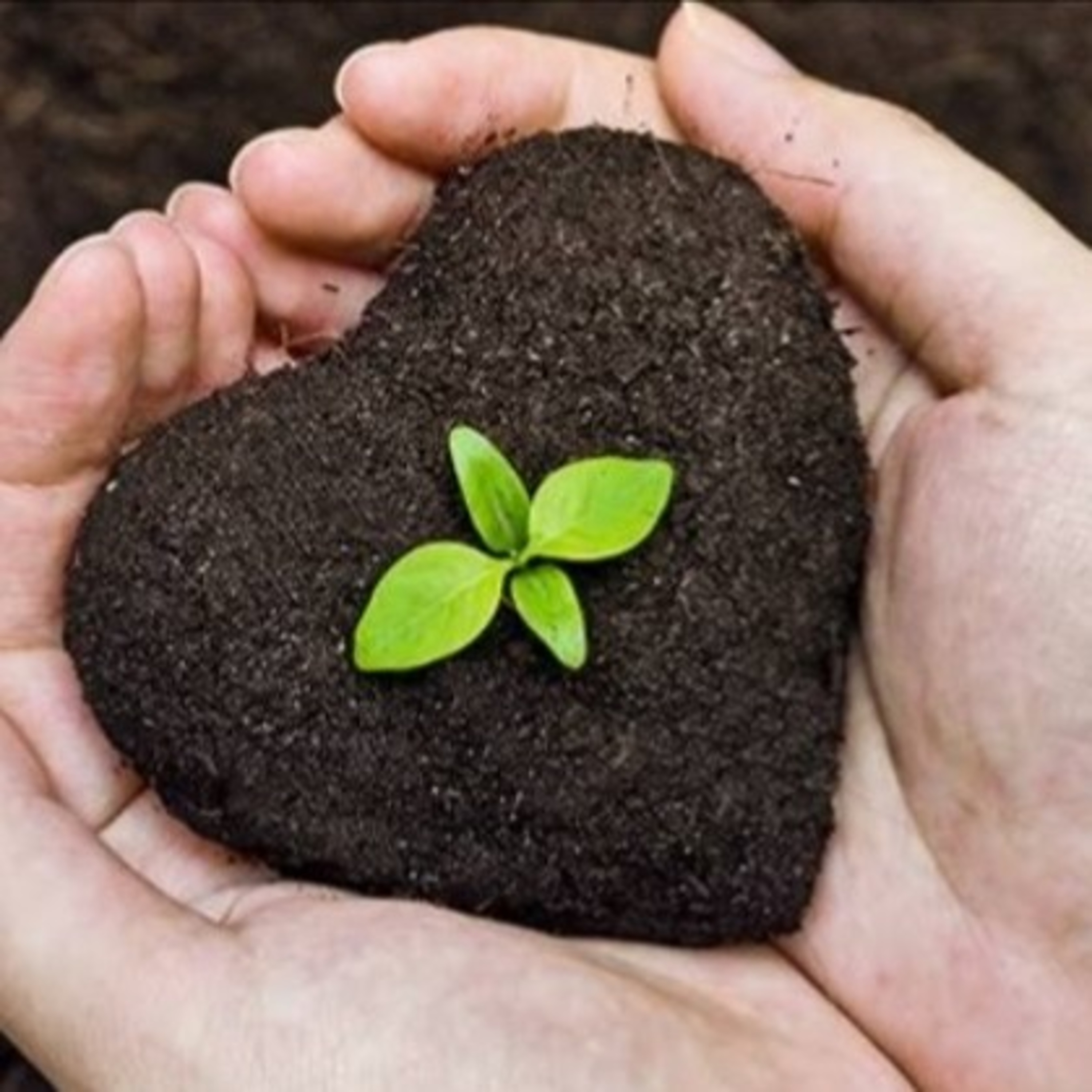 Discriminación Lingüística