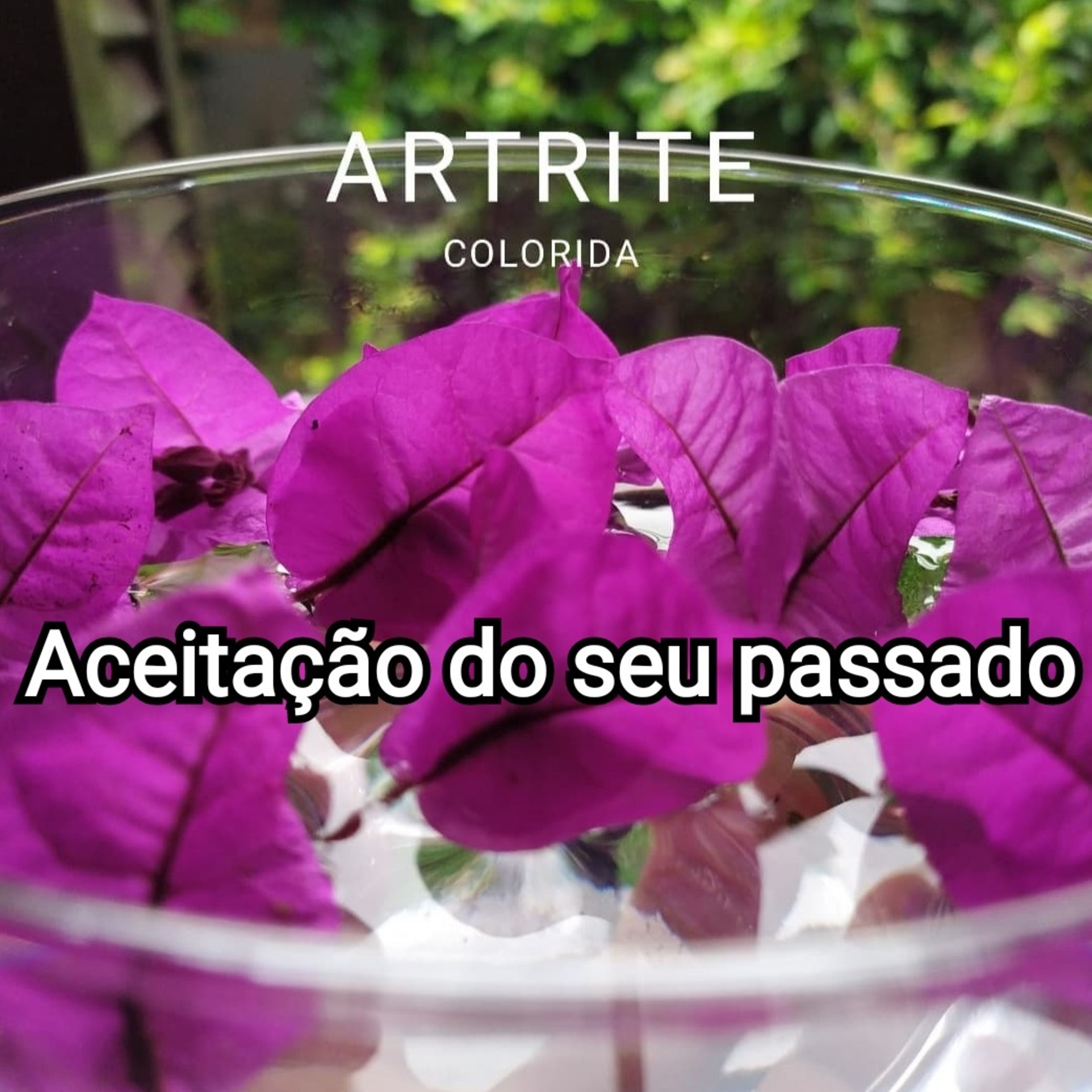Aceitação do passado episode artwork