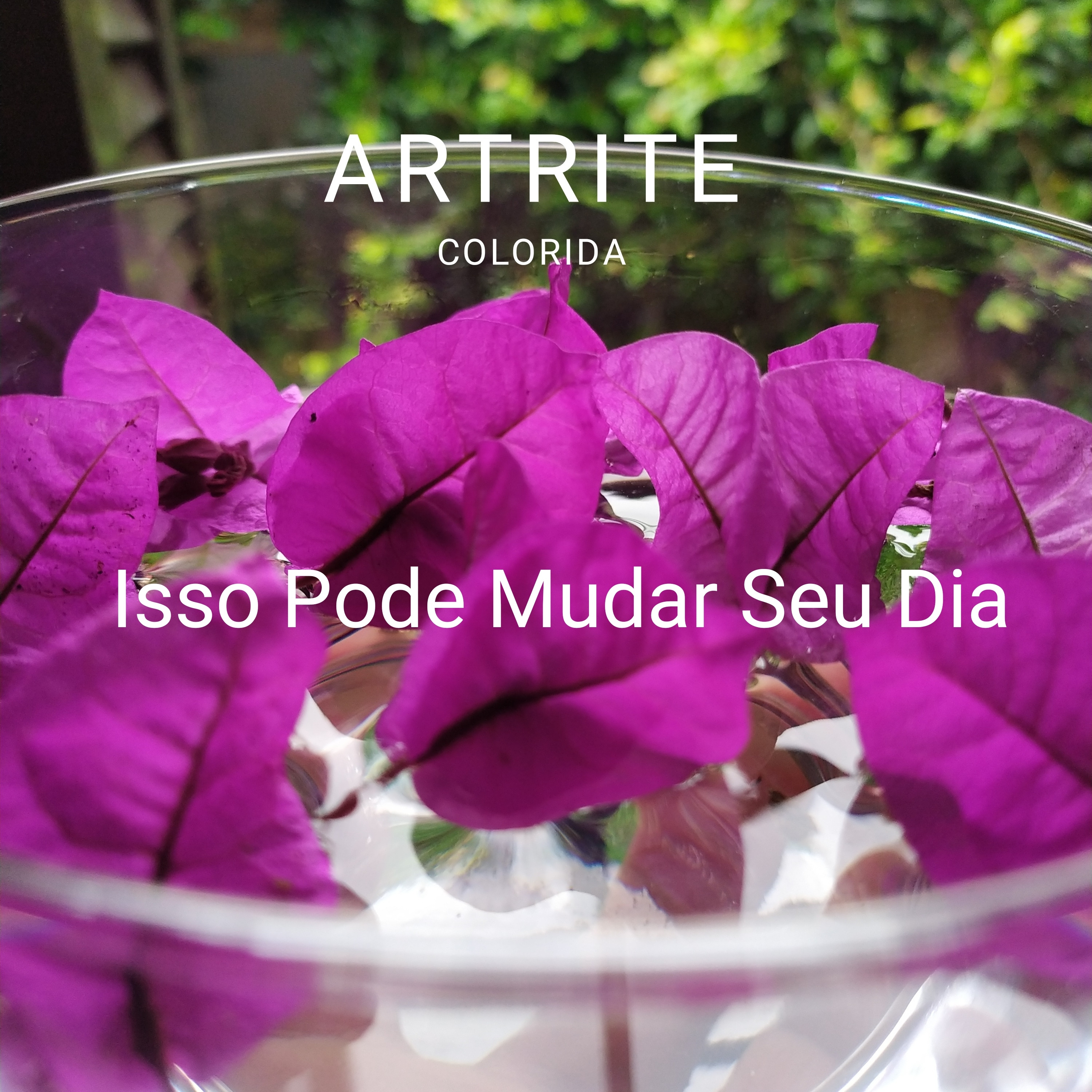 Isso pode mudar seu dia. episode artwork