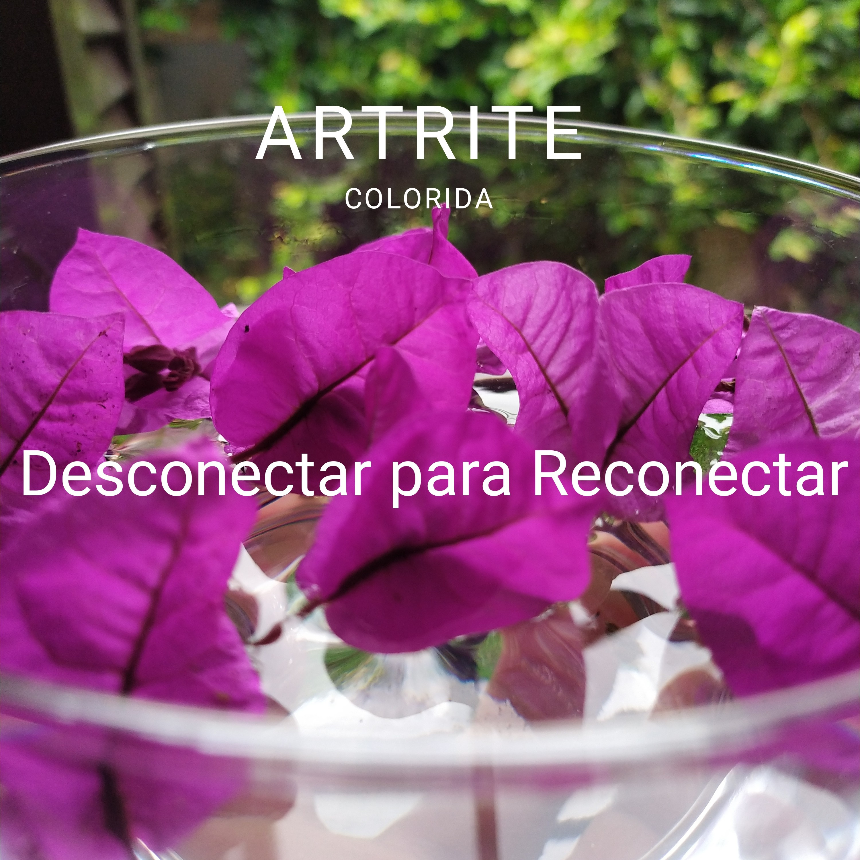 Desconectar para Reconectar episode artwork