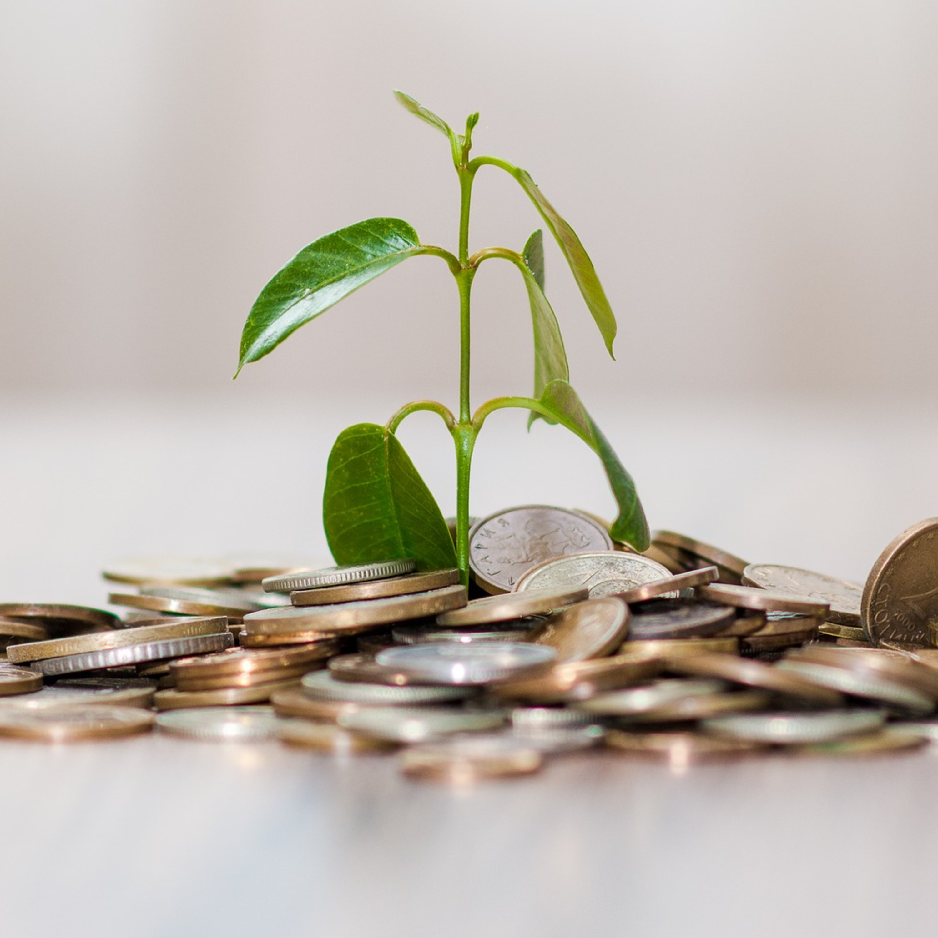 O endividamento faz parte do negócio. Saiba como usar a favor da empresa.