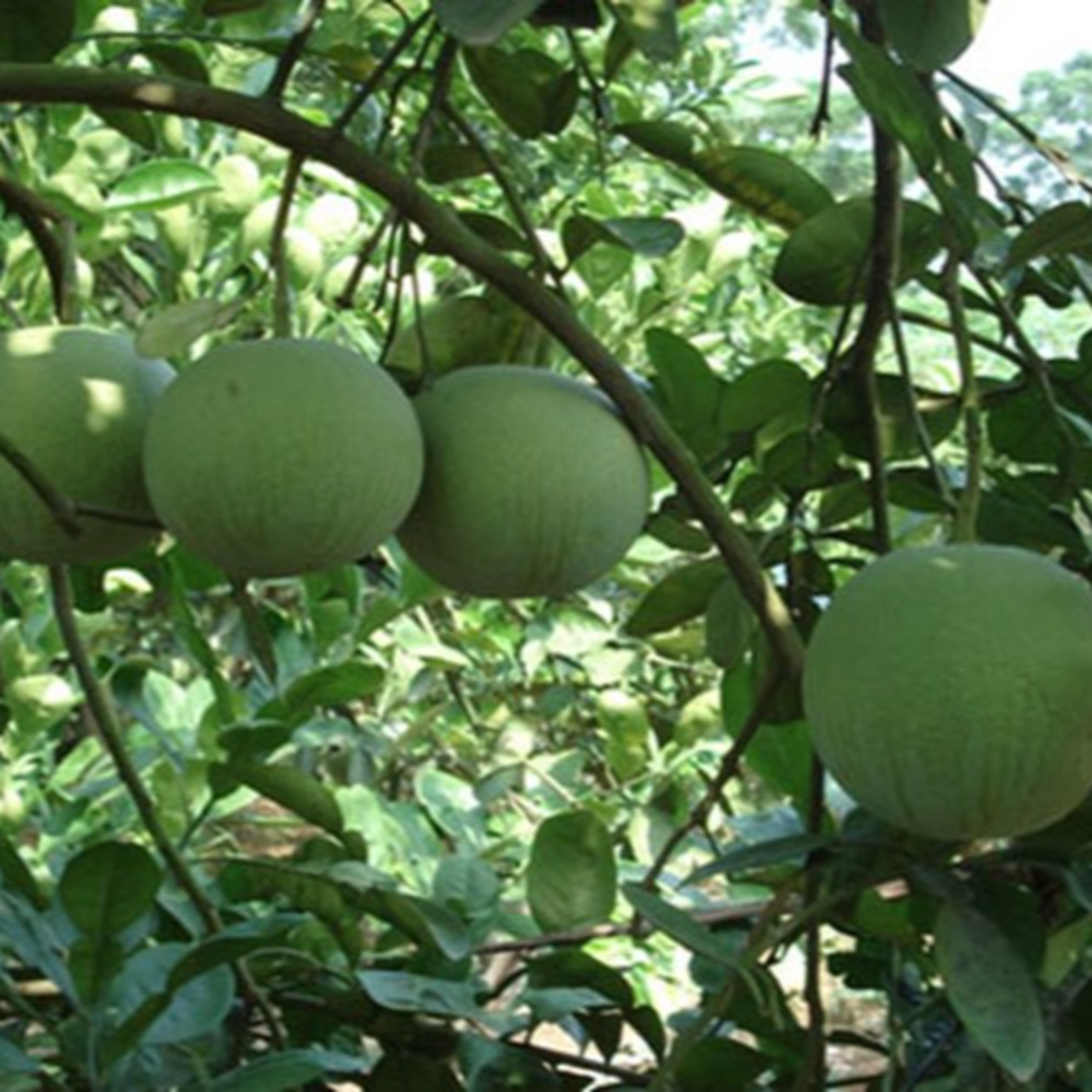 Đọc Truyện Đêm Khuya Mới Nhất