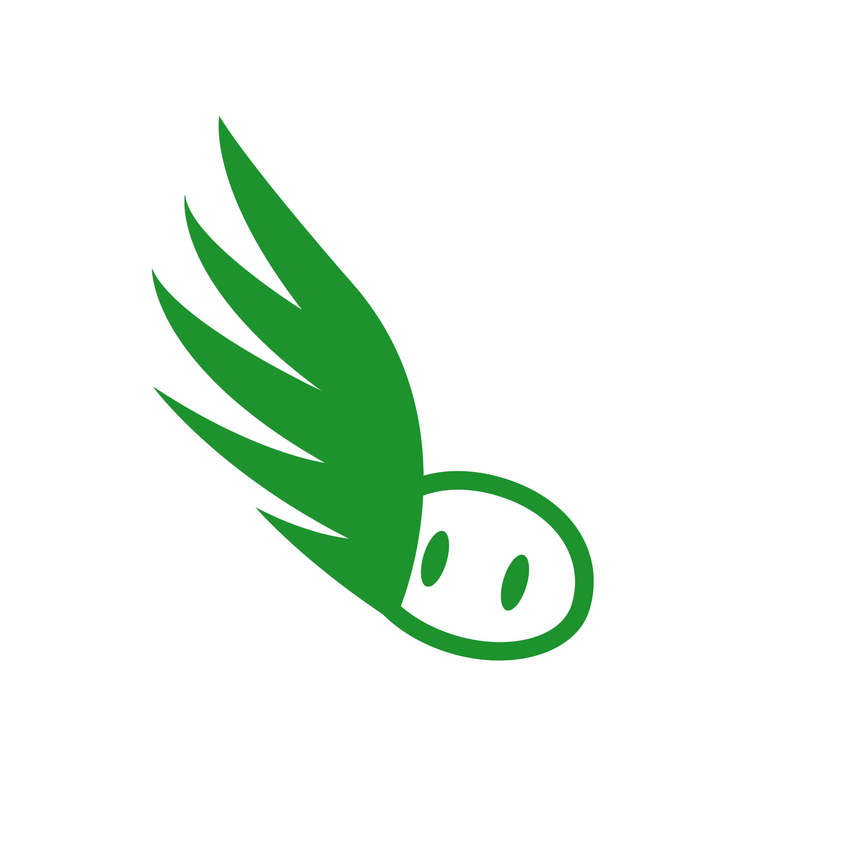 AEROPORCOS