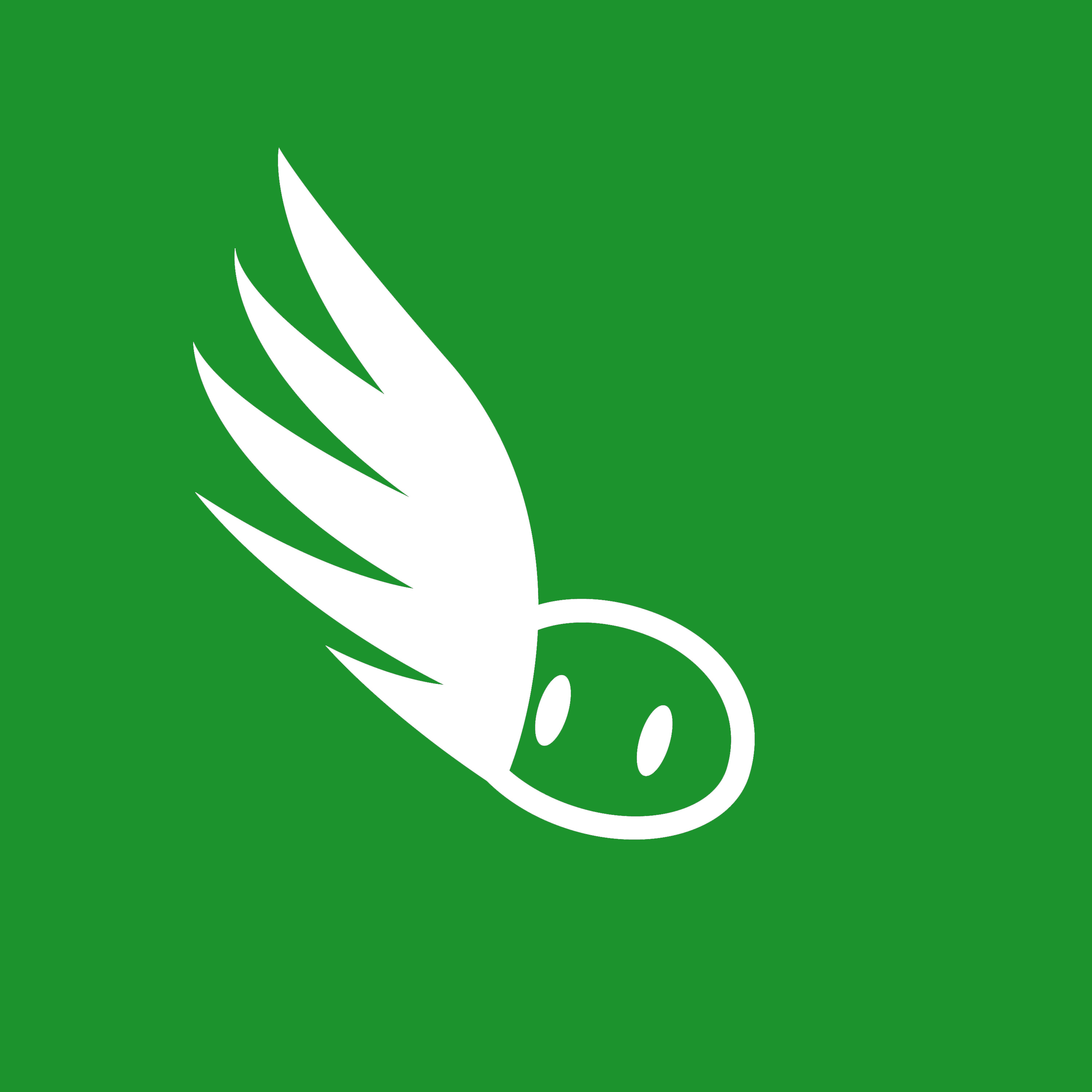 AEROPORCOS