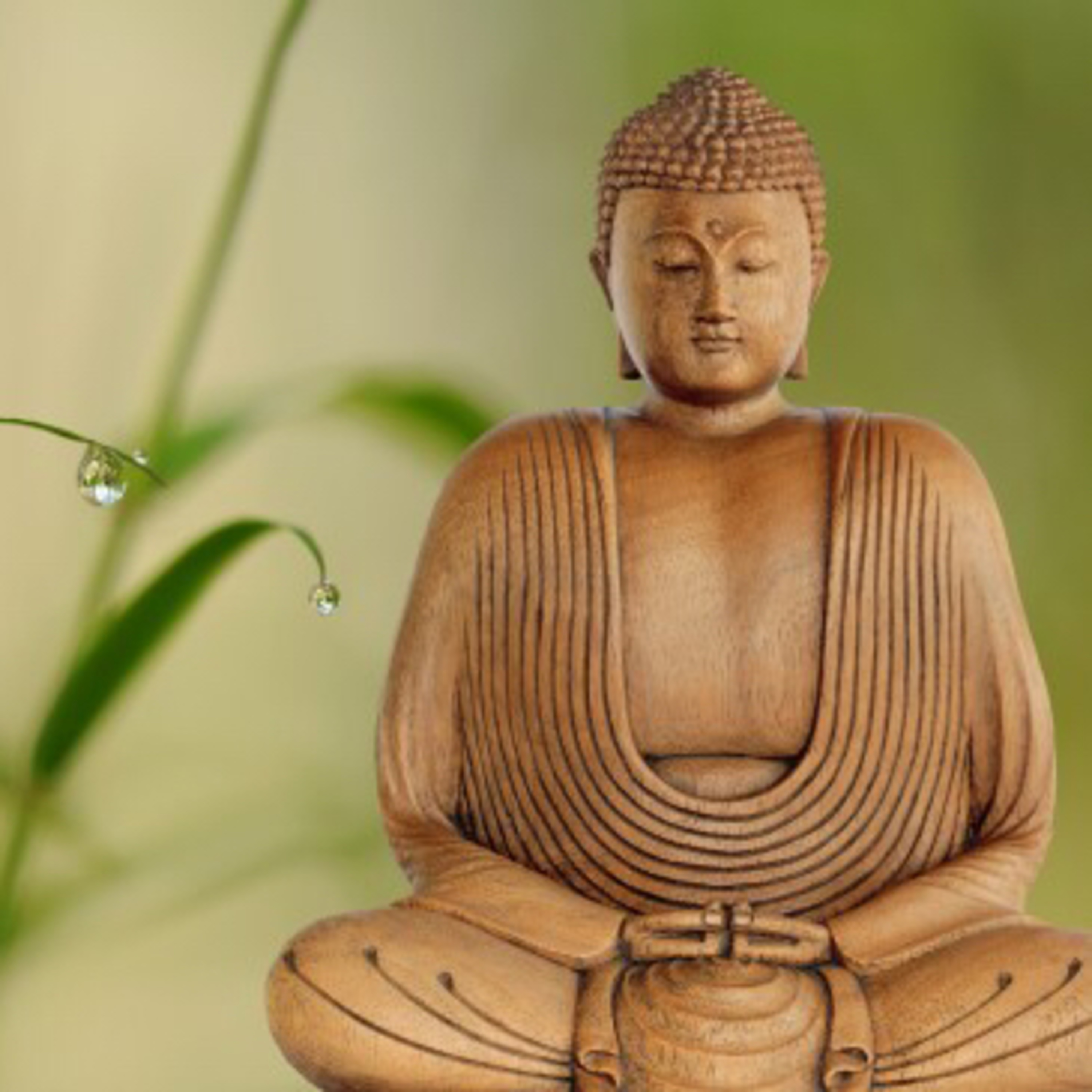 #8 Citations de Bouddha partie 2. episode artwork