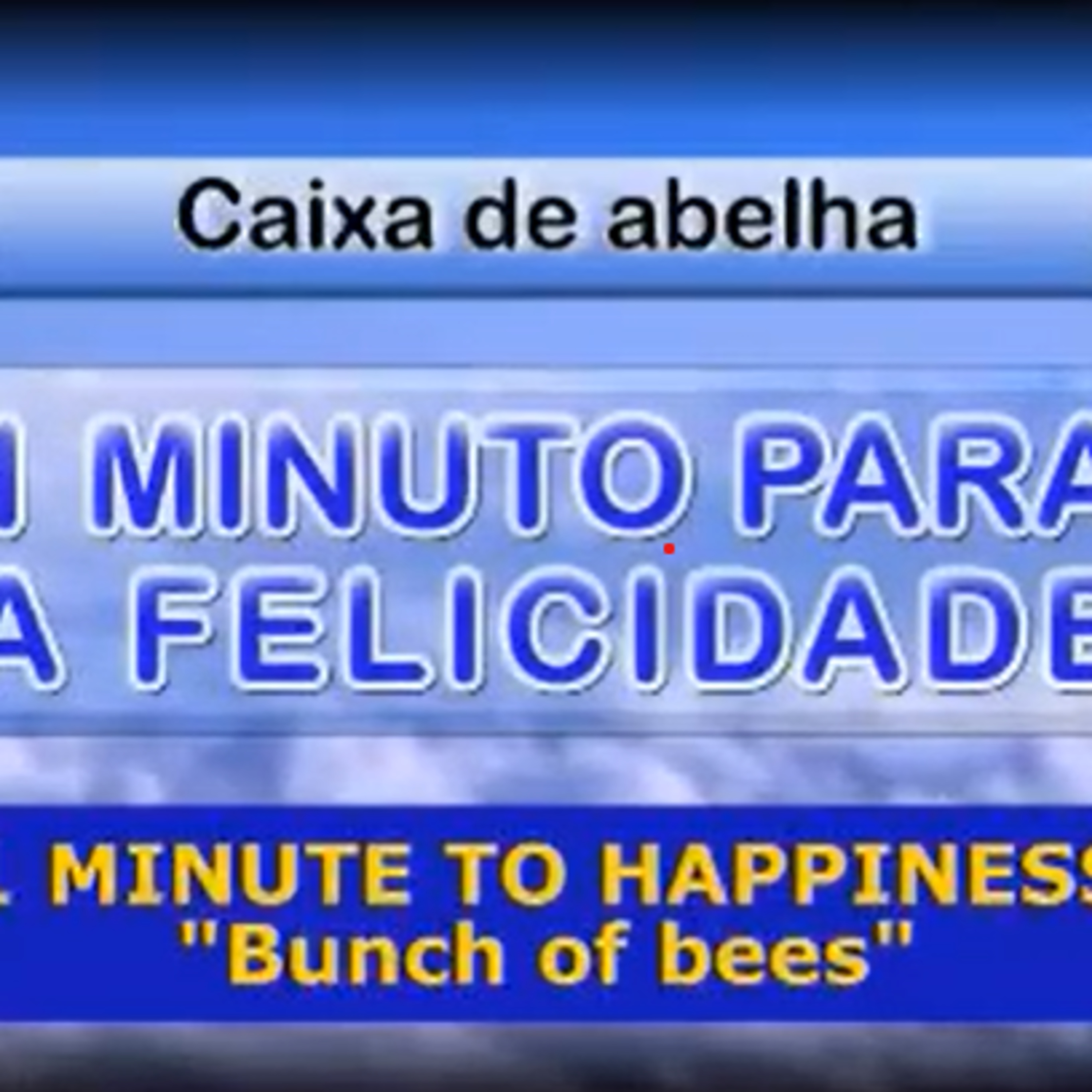 1 Minuto para a Felicidade - Caixa de Abelha