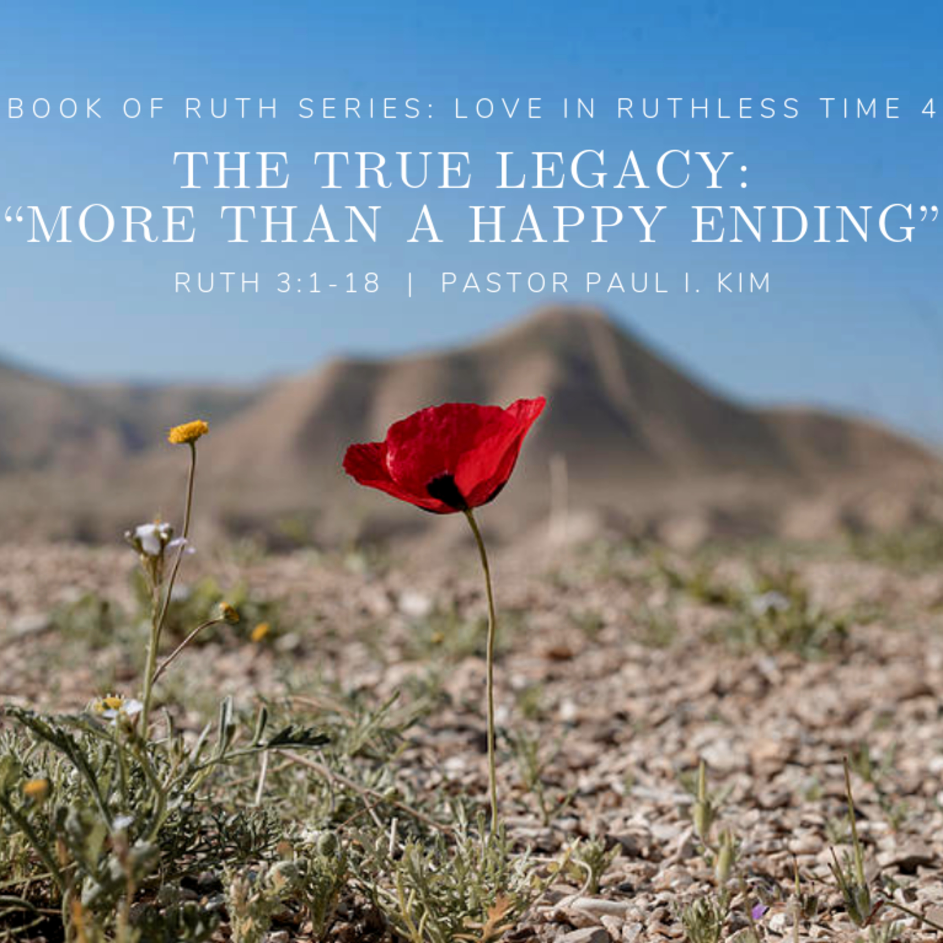 The True Legacy: “More than a Happy Ending”  episode artwork