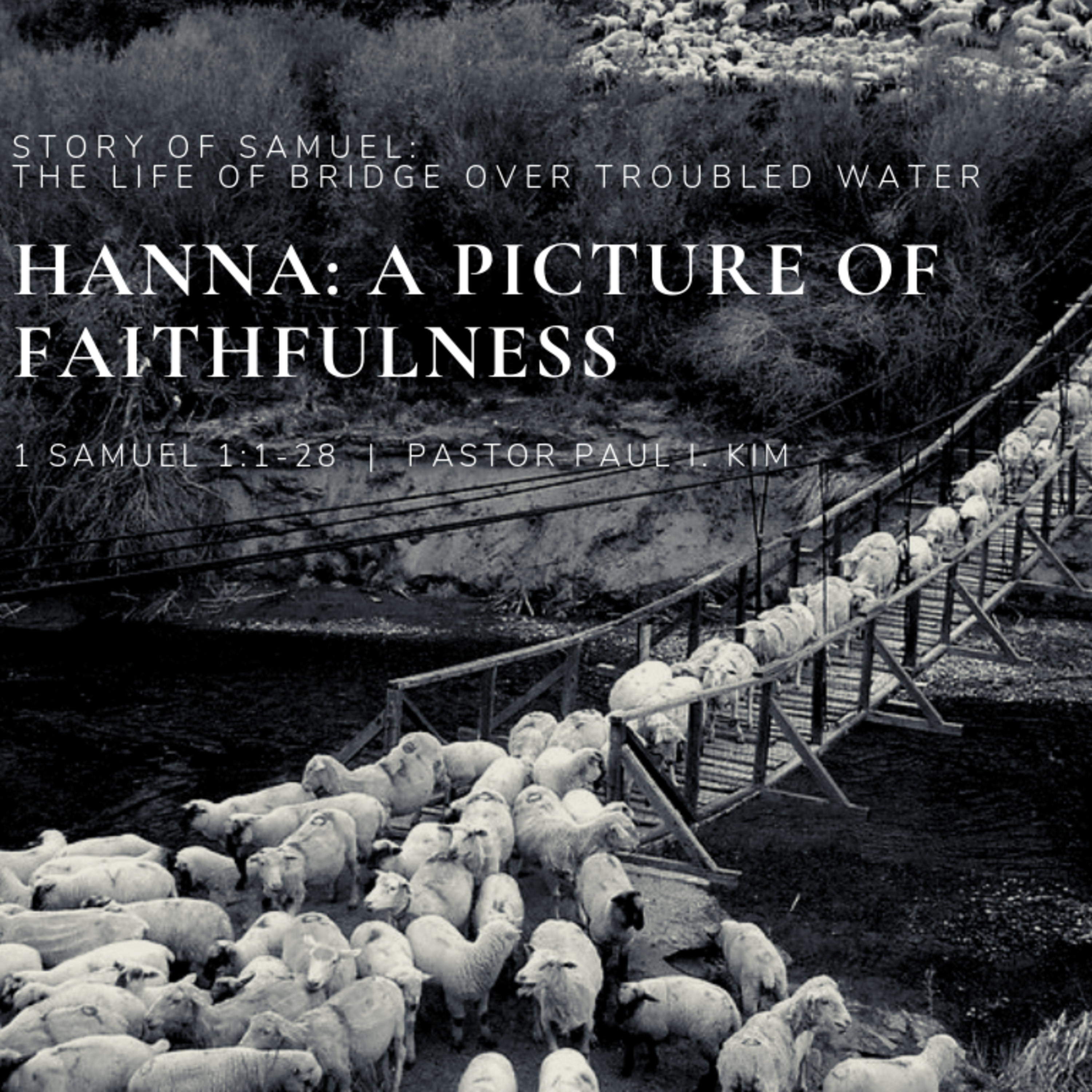 Hannah - A Picture of Faithfulness episode artwork