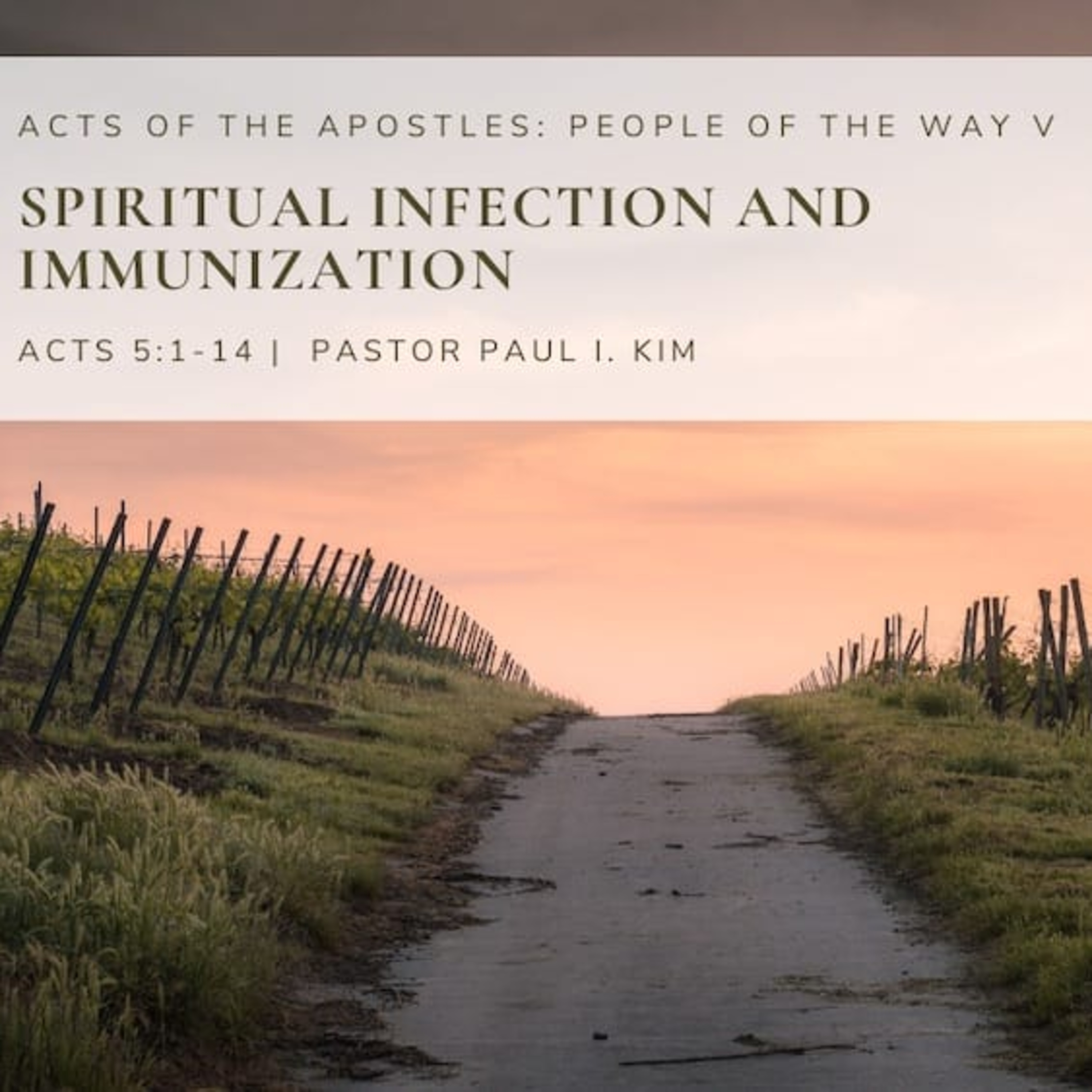 Spiritual Infection and Immunization episode artwork