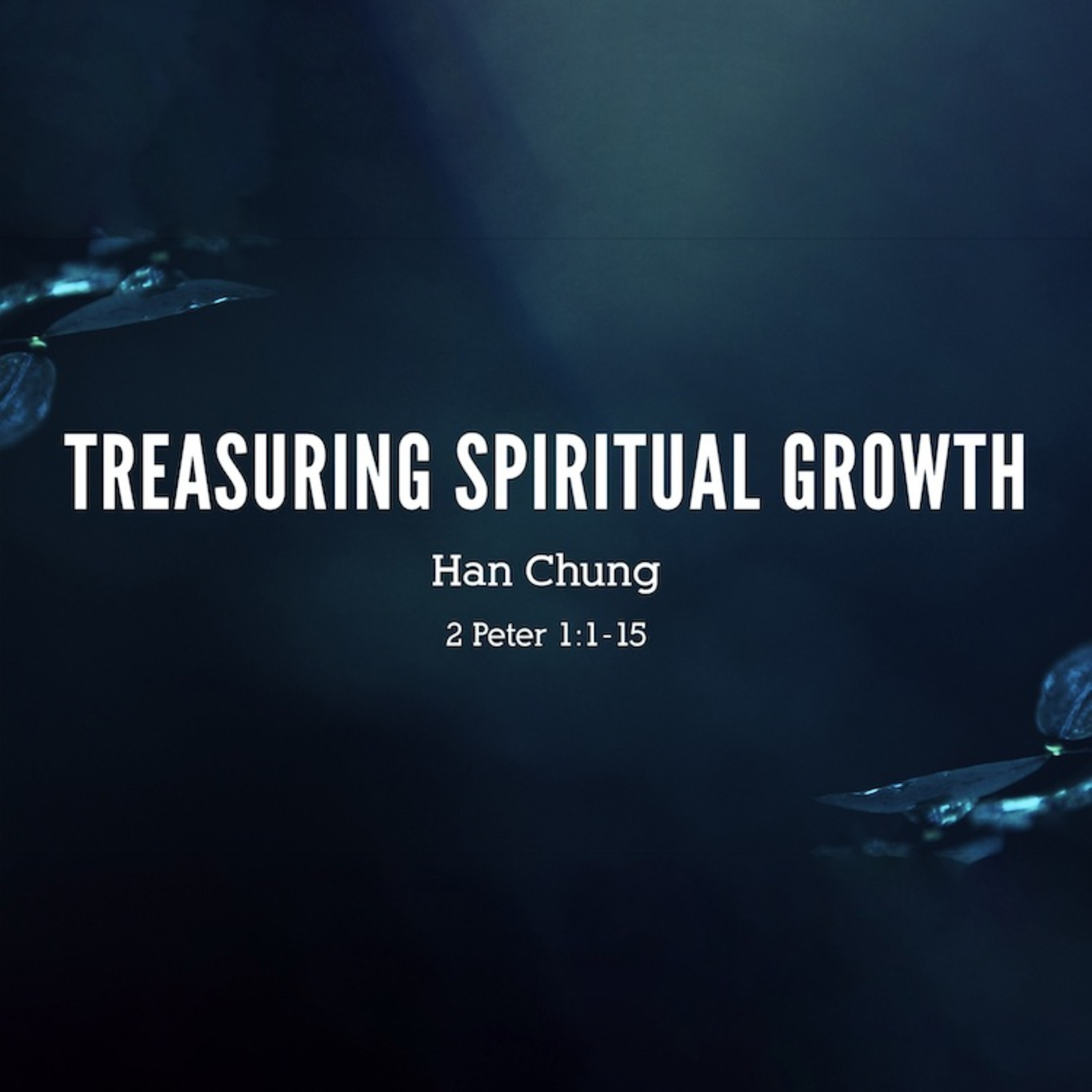 Treasuring Spiritual Growth episode artwork