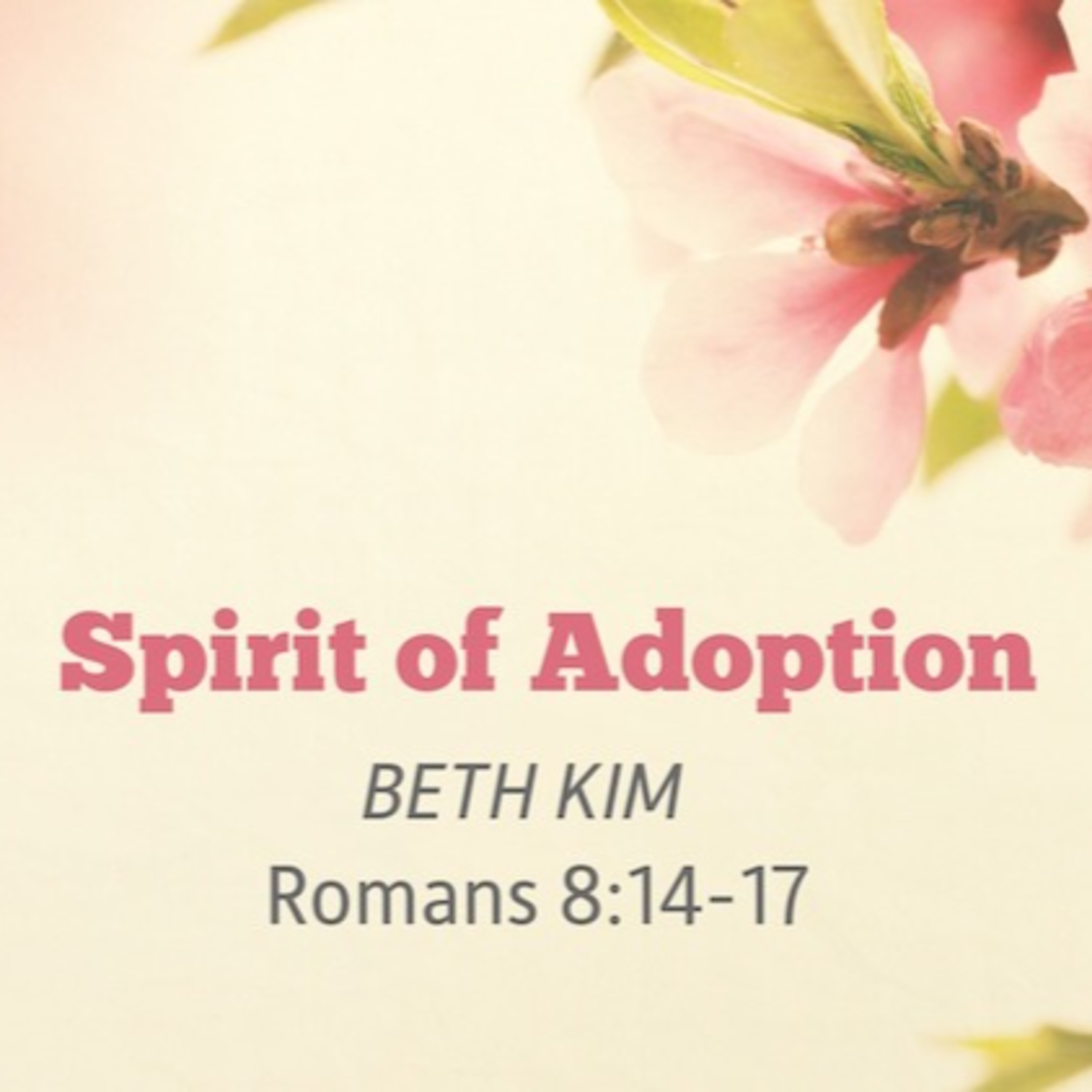 Spirit of Adoption episode artwork