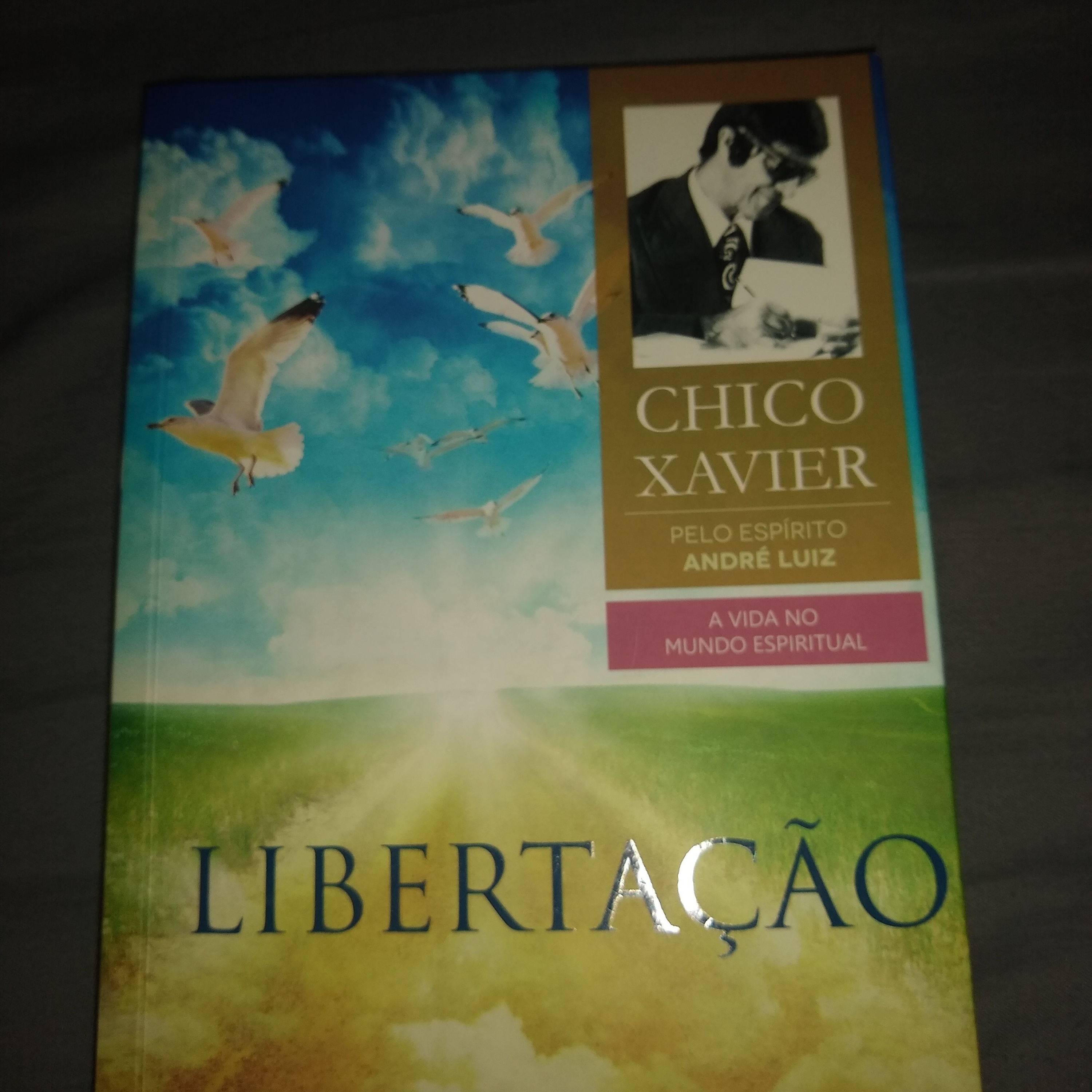 Leitura Livros