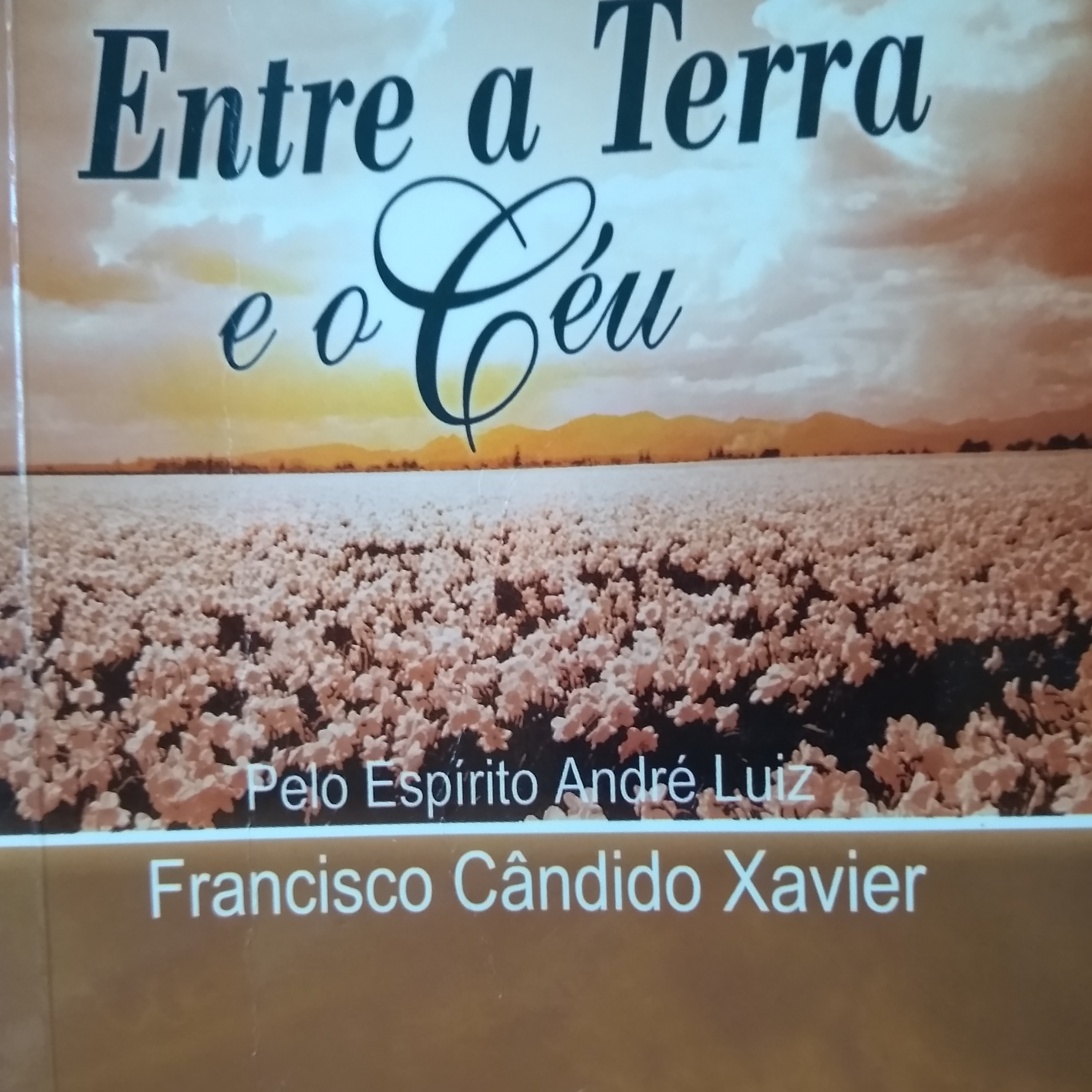 Leitura Livros