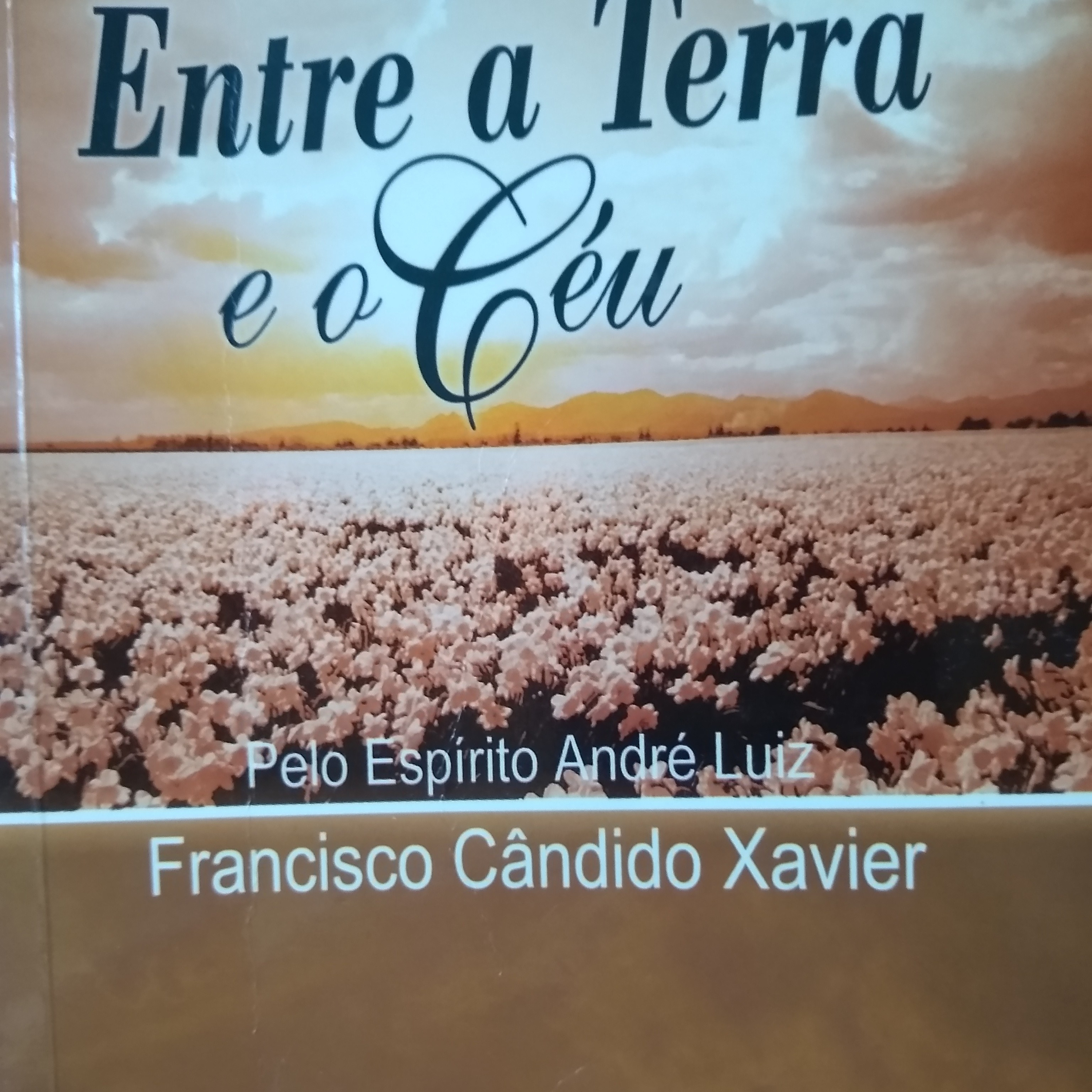 Leitura Livros
