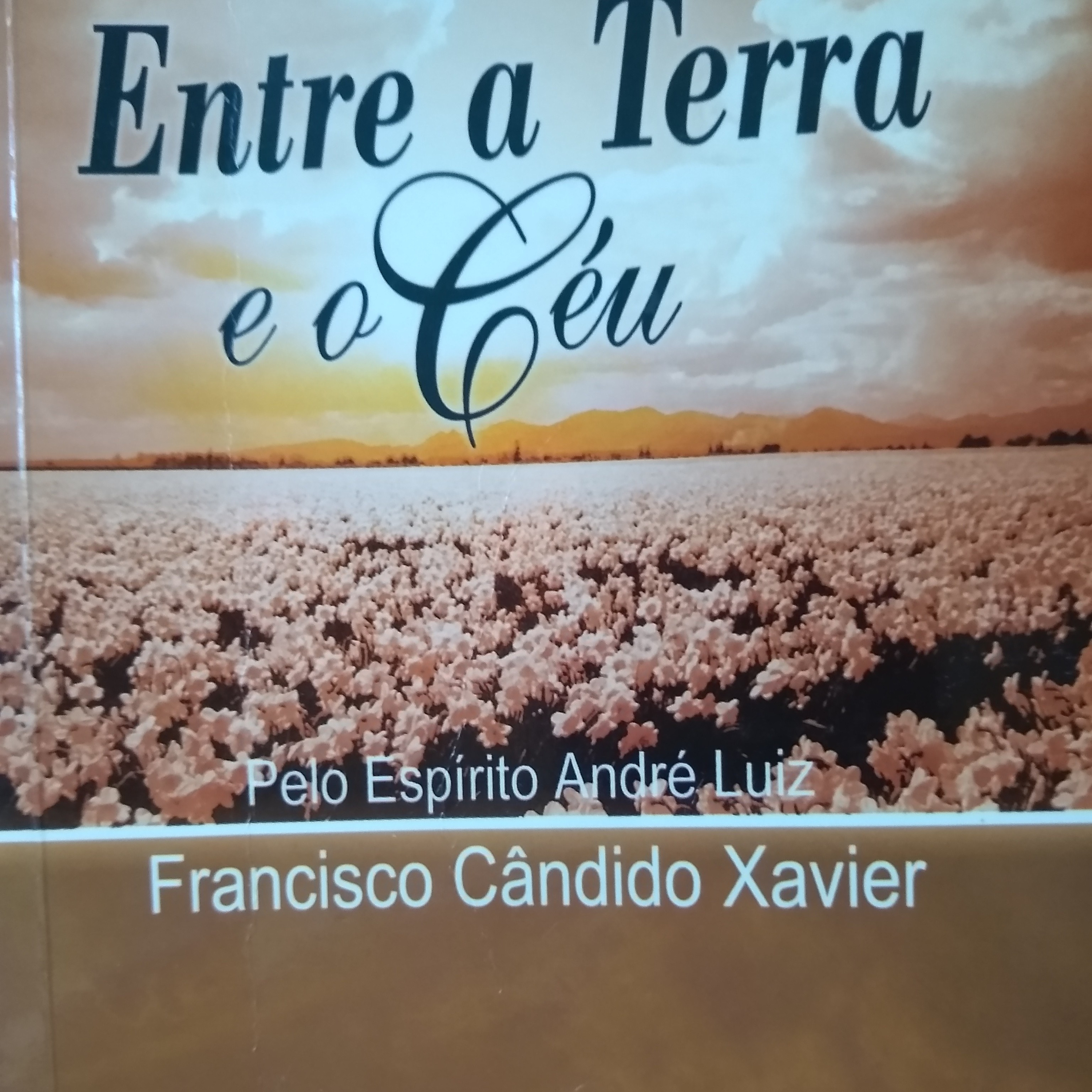 Leitura Livros