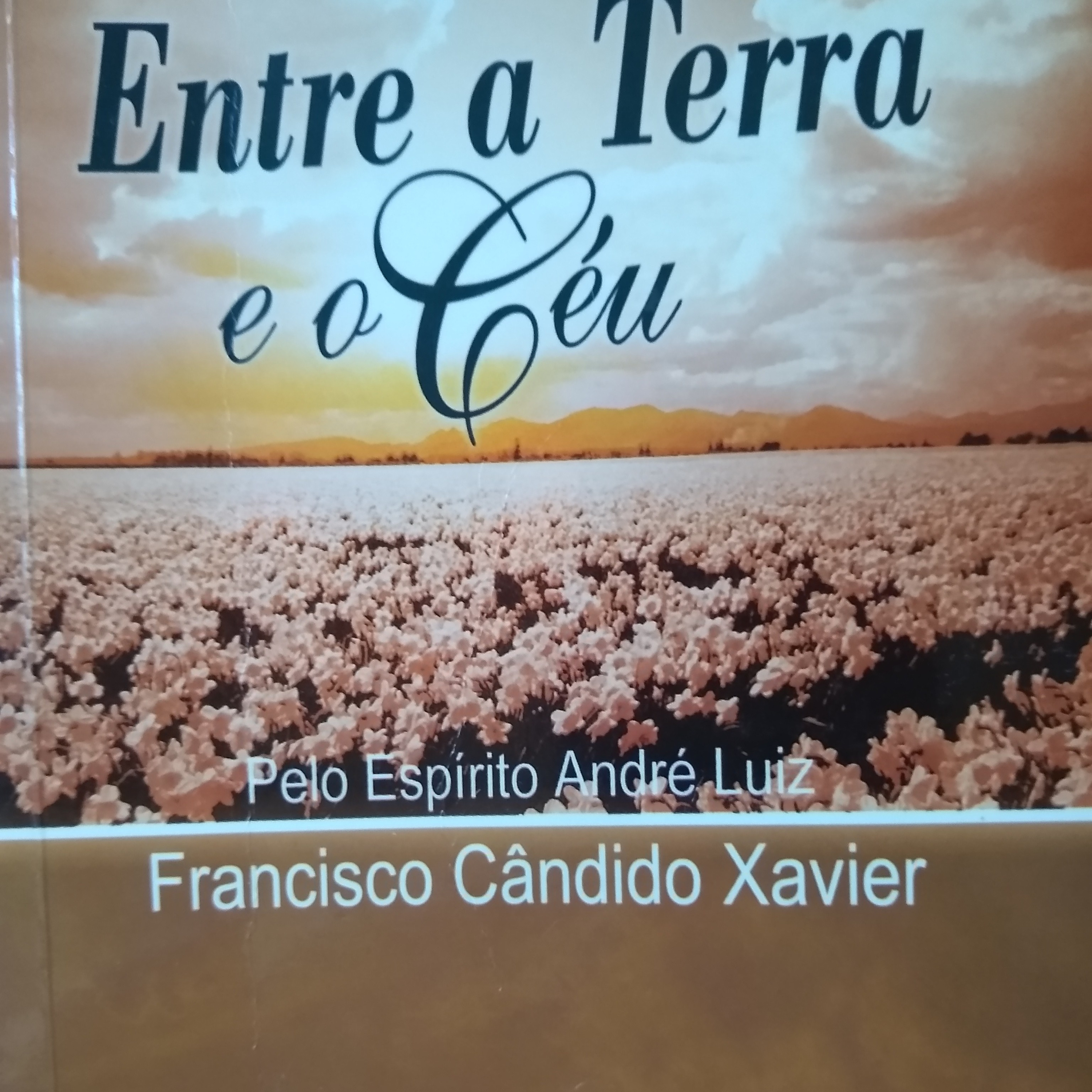 Leitura Livros