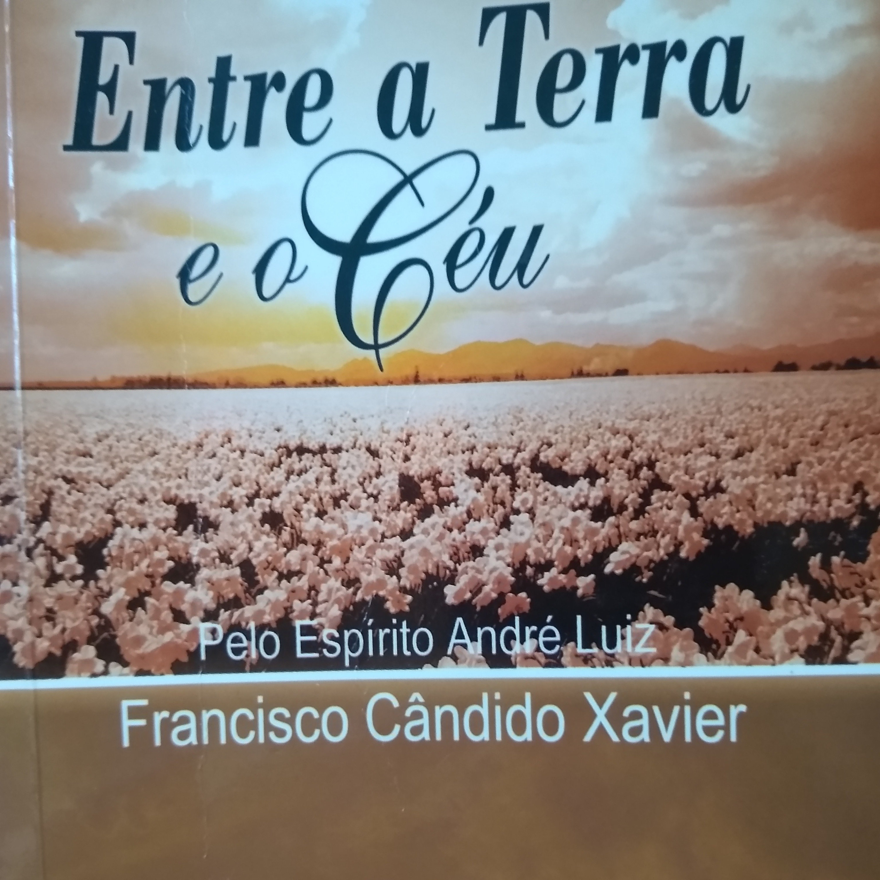 Leitura Livros