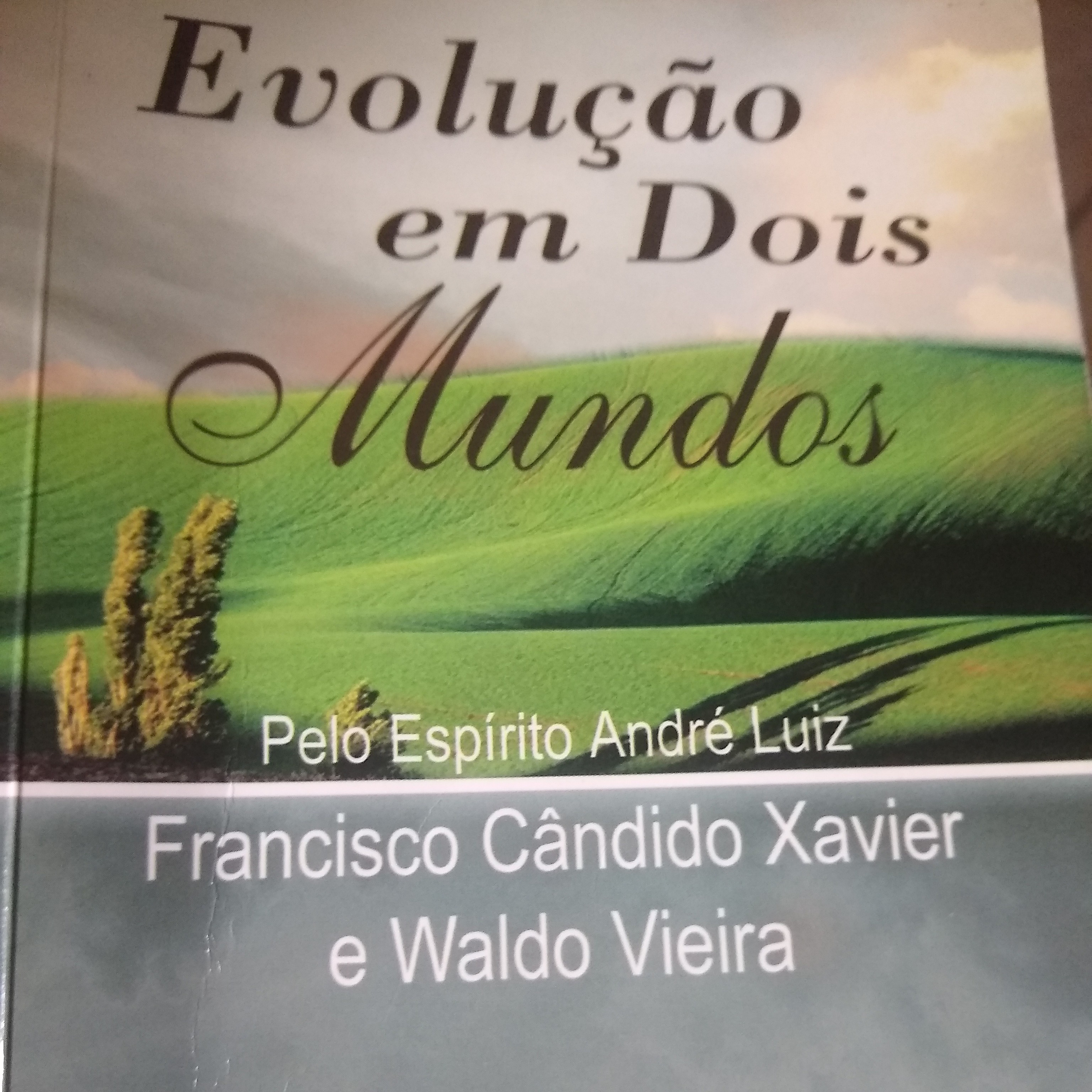 Leitura Livros