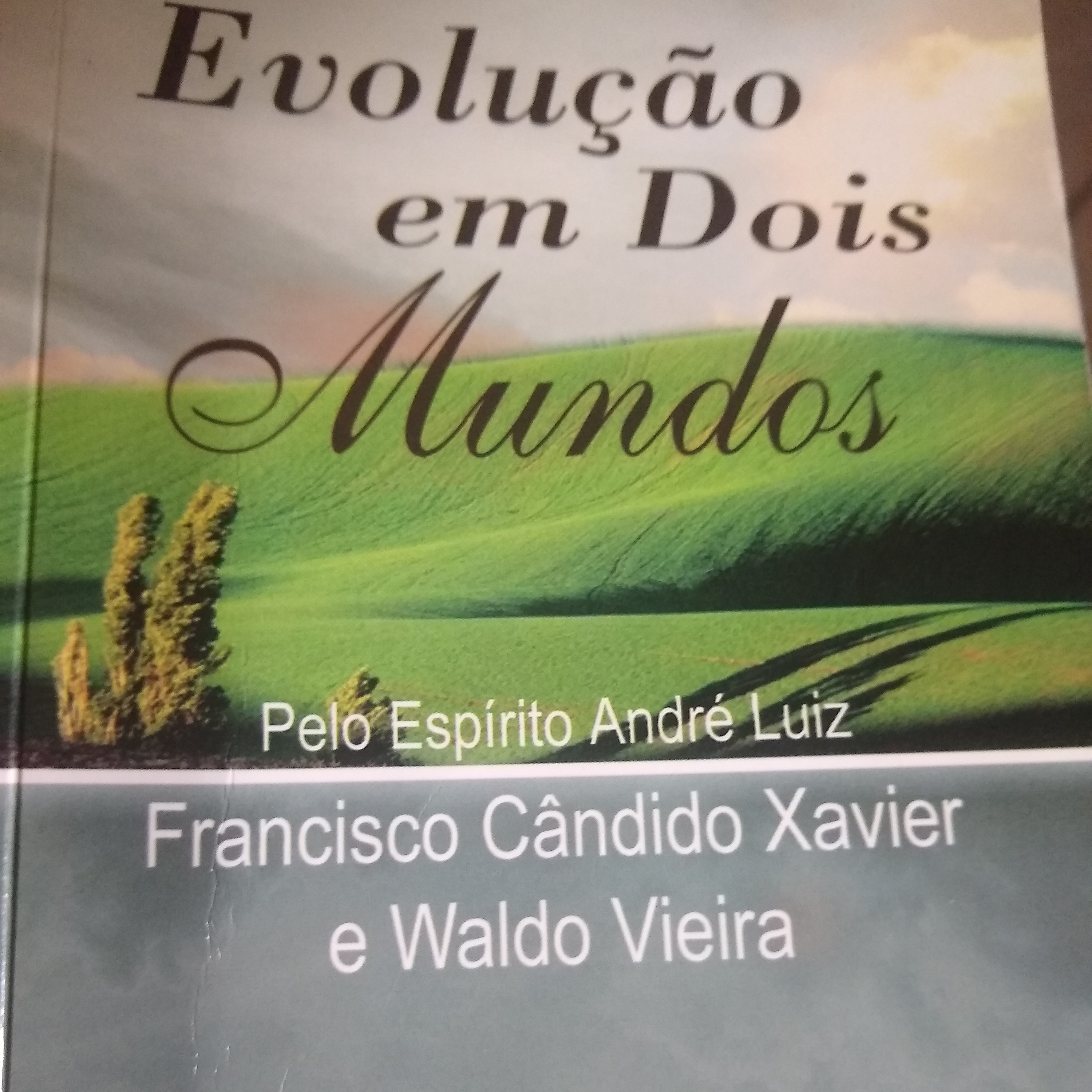 Leitura Livros