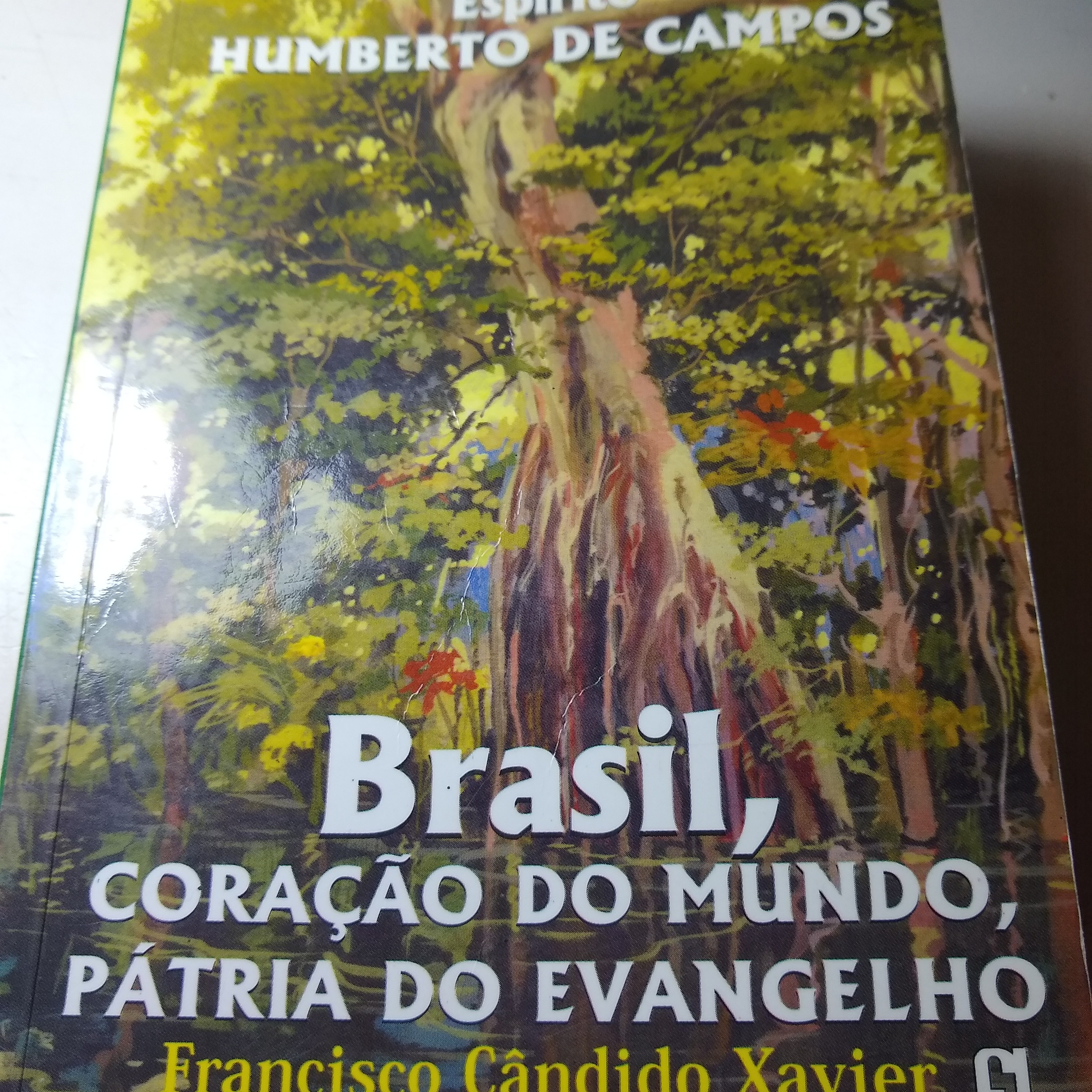 XII No Tempo dos Vice-Reis Brasil Coração do Mundo, Pátria do Evangelho  episode artwork