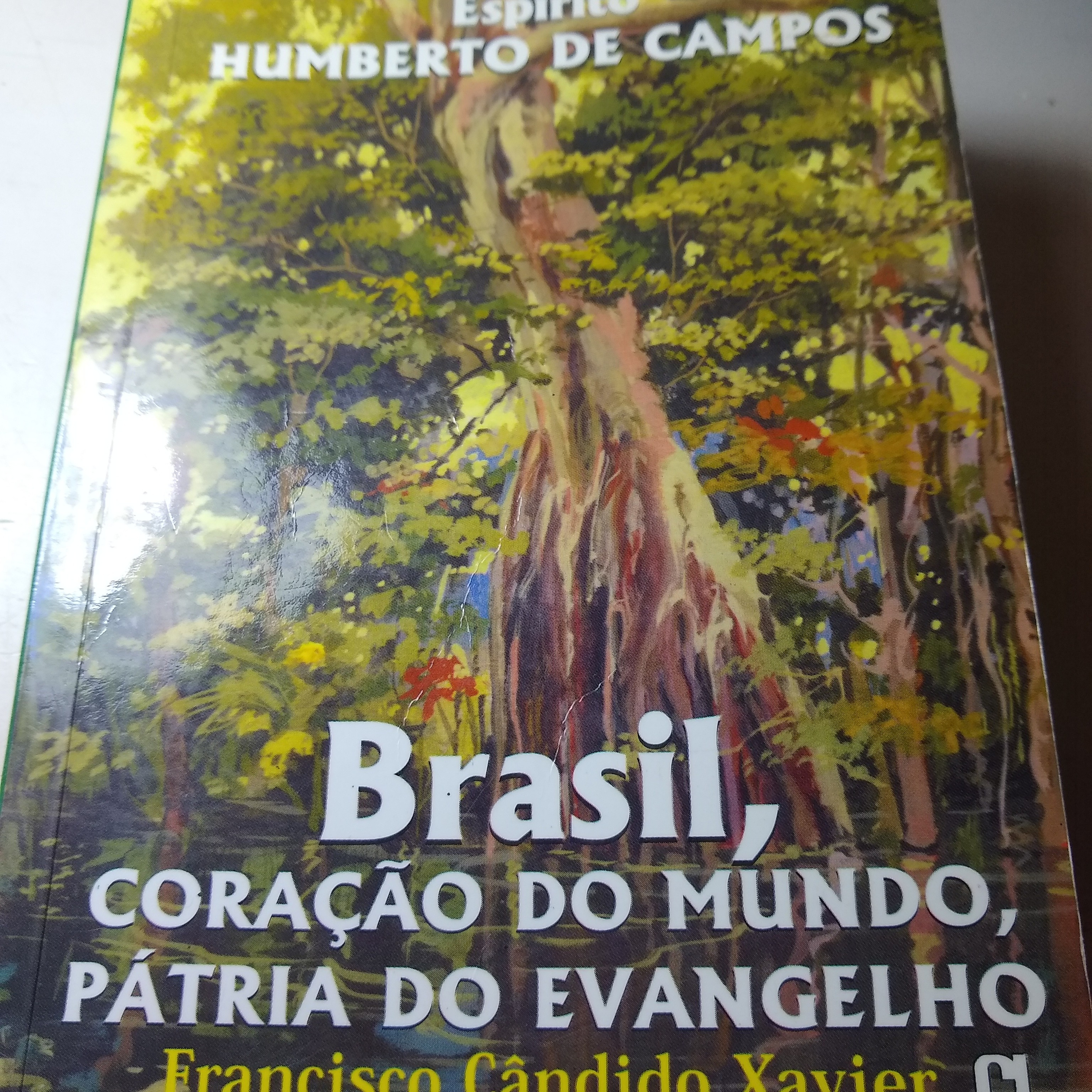 XXIX O Espiritismo no Brasil Brasil Coração do Mundo, Pátria do Evangelho  episode artwork