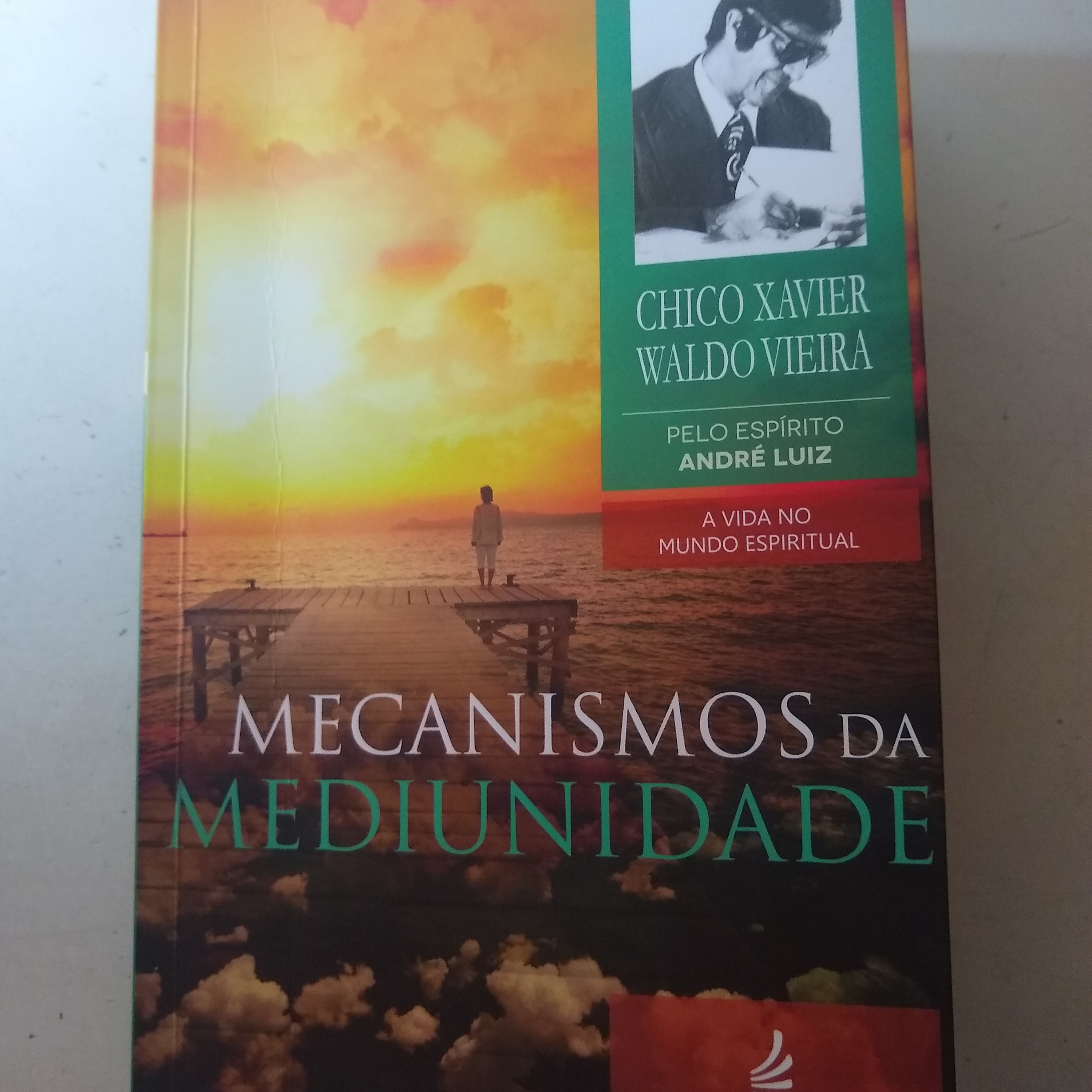 9 Cérebro e energia.  Mecanismos da Mediunidade  episode artwork