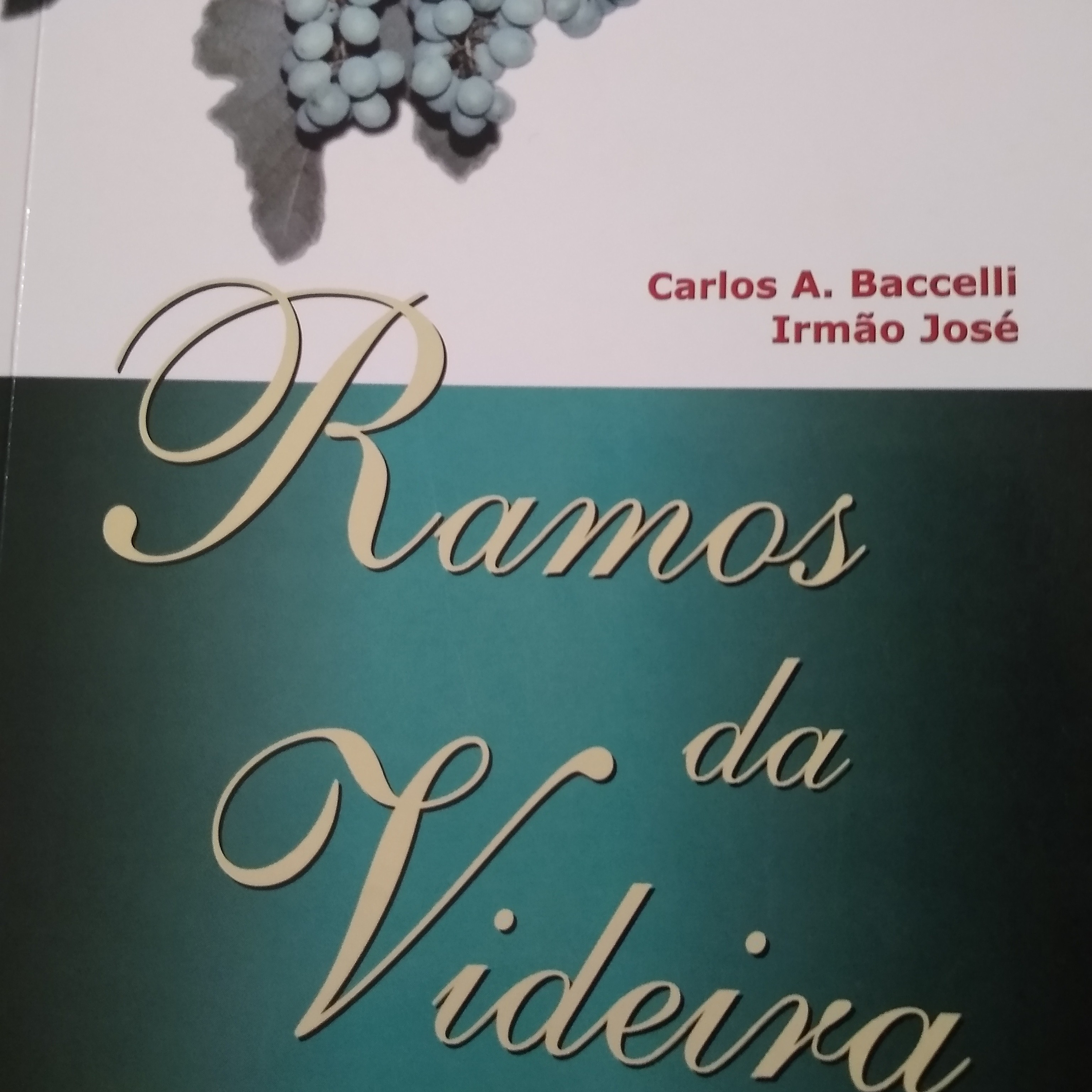 Leitura Livros